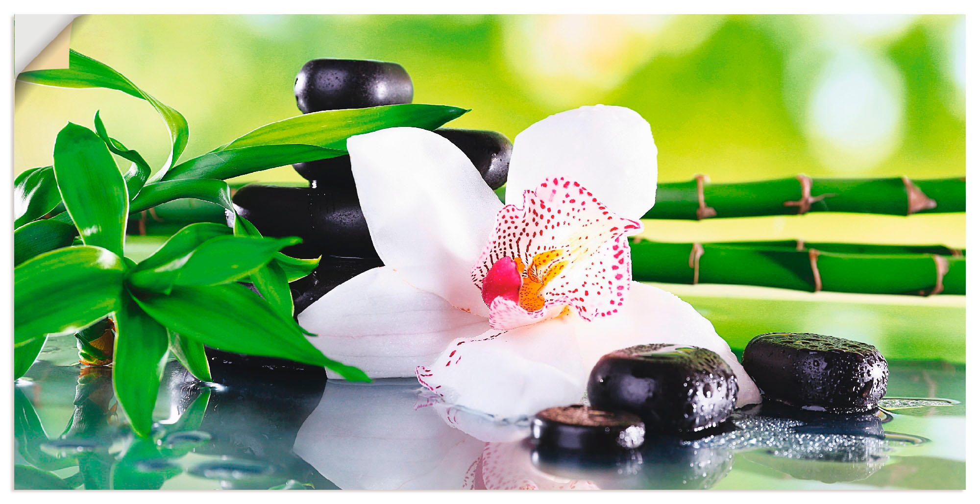 Orchidee«, versch. kaufen Zen, Leinwandbild, »Spa Größen oder St.), Alubild, bequem (1 Wandbild Steine in Poster Zweige Artland Wandaufkleber als Bambus
