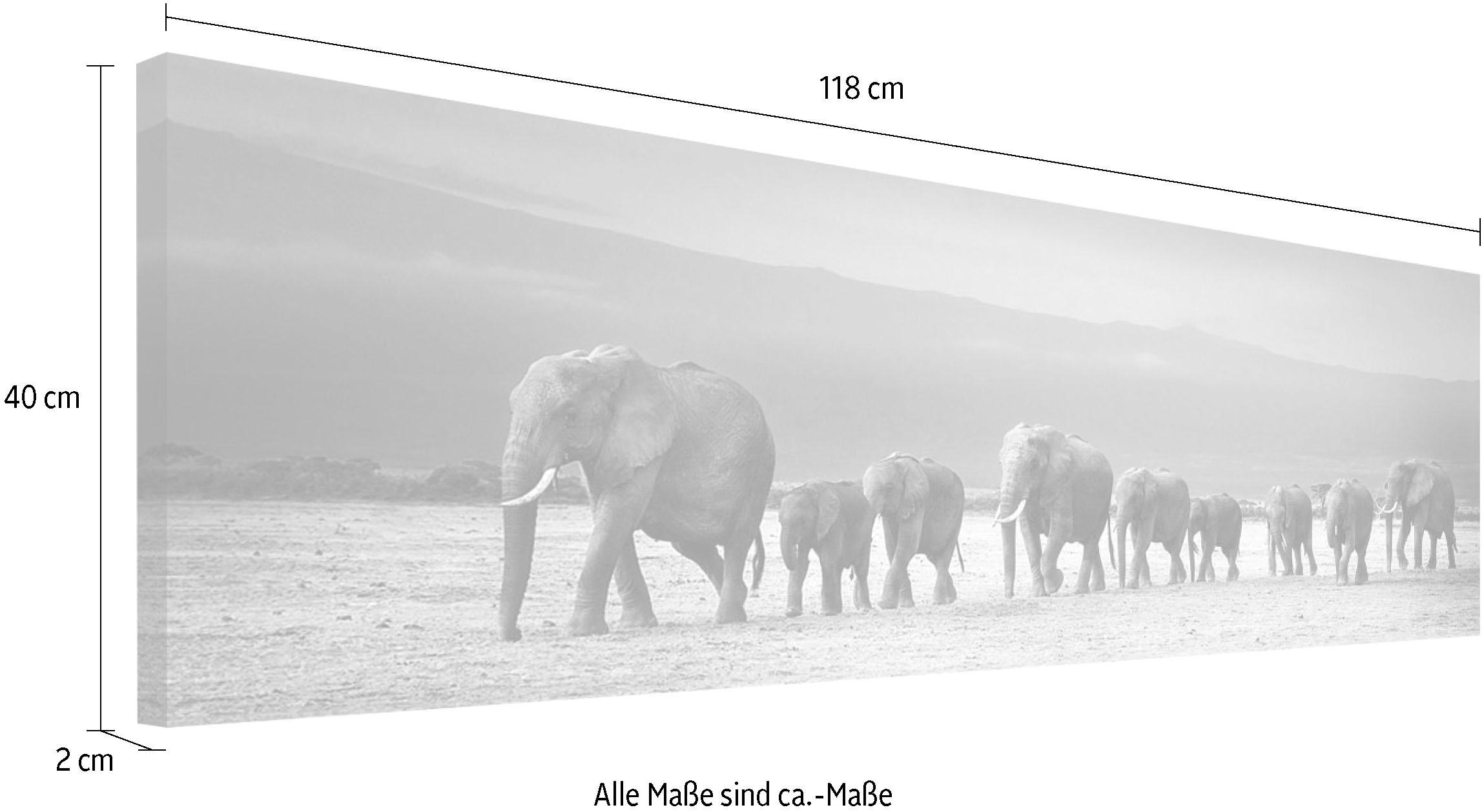 Reinders! Wandbild »Elefantenparade« auf Raten kaufen
