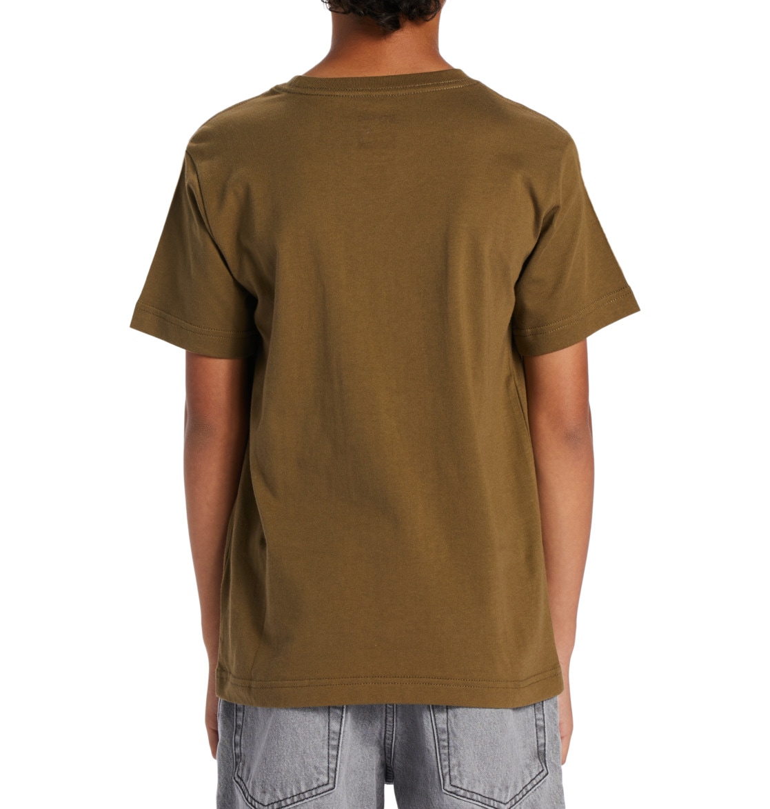 DC Shoes T-Shirt »DC Star Pilot«