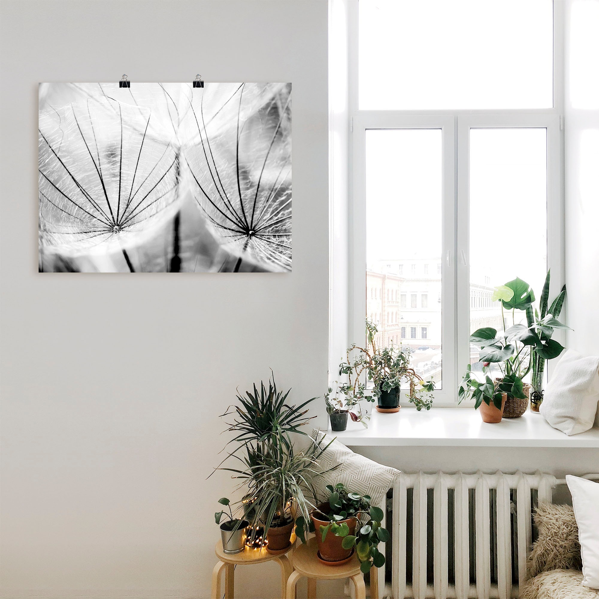 Artland Wandbild »Pusteblume in schwarzweiß« Blumen 1 Stk. tlg. als Leinwandbild, Poster in verschied. Größen