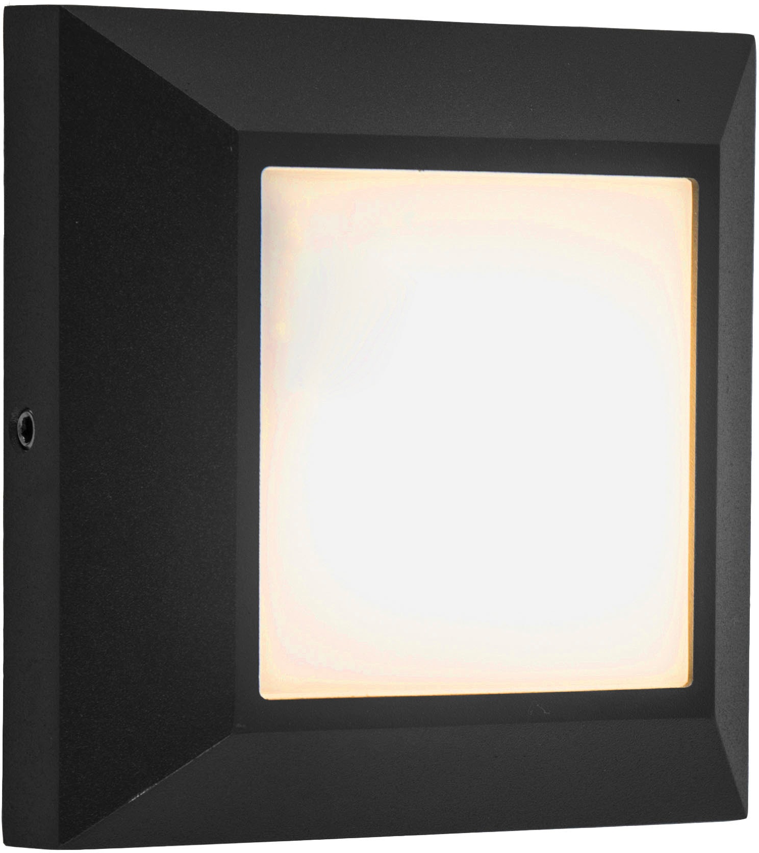Jahren mit XXL 3 Außen-Wandleuchte online LED »HELENE« | LUTEC kaufen Garantie