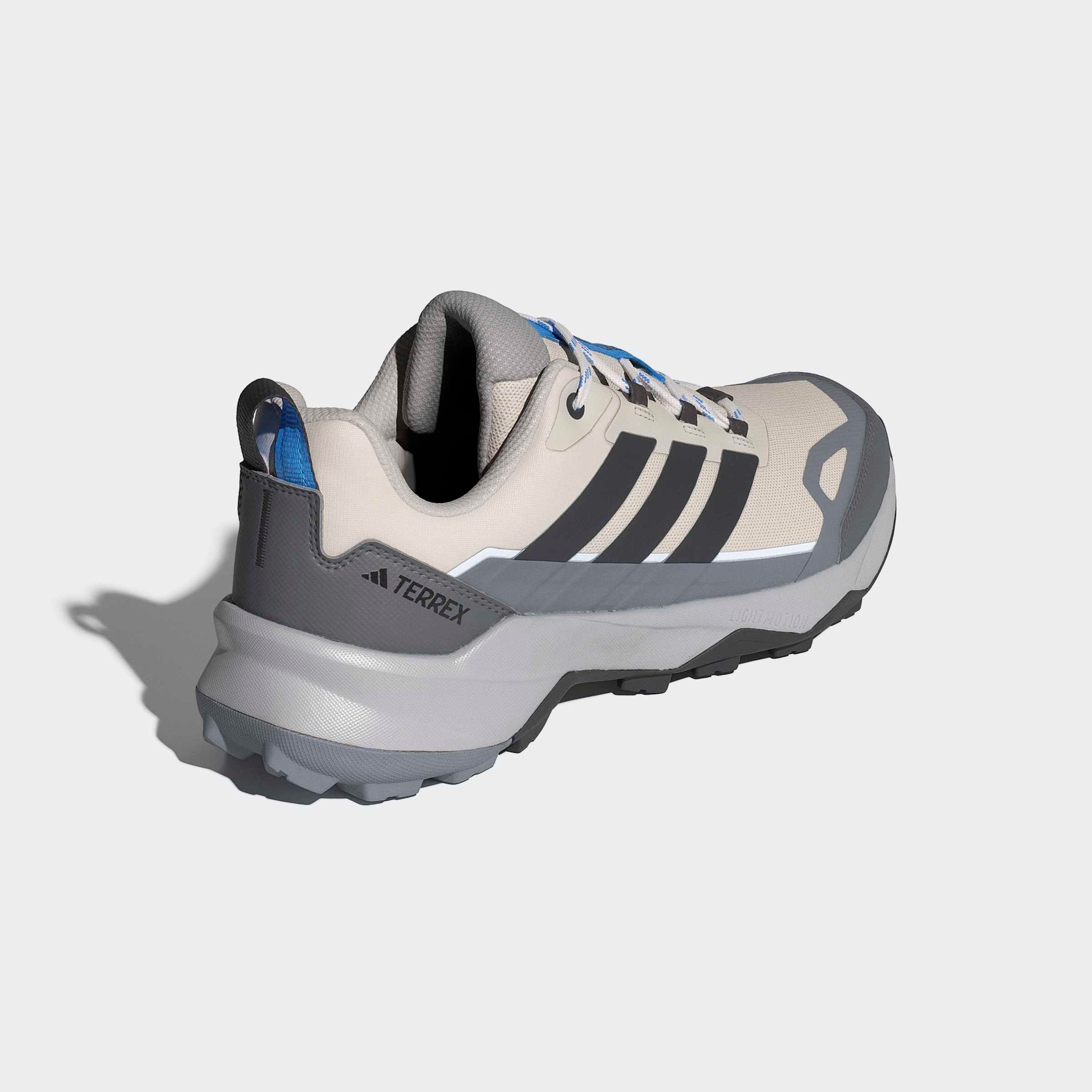 adidas TERREX Wanderschuh »TERREX SKYCHASER AX5«