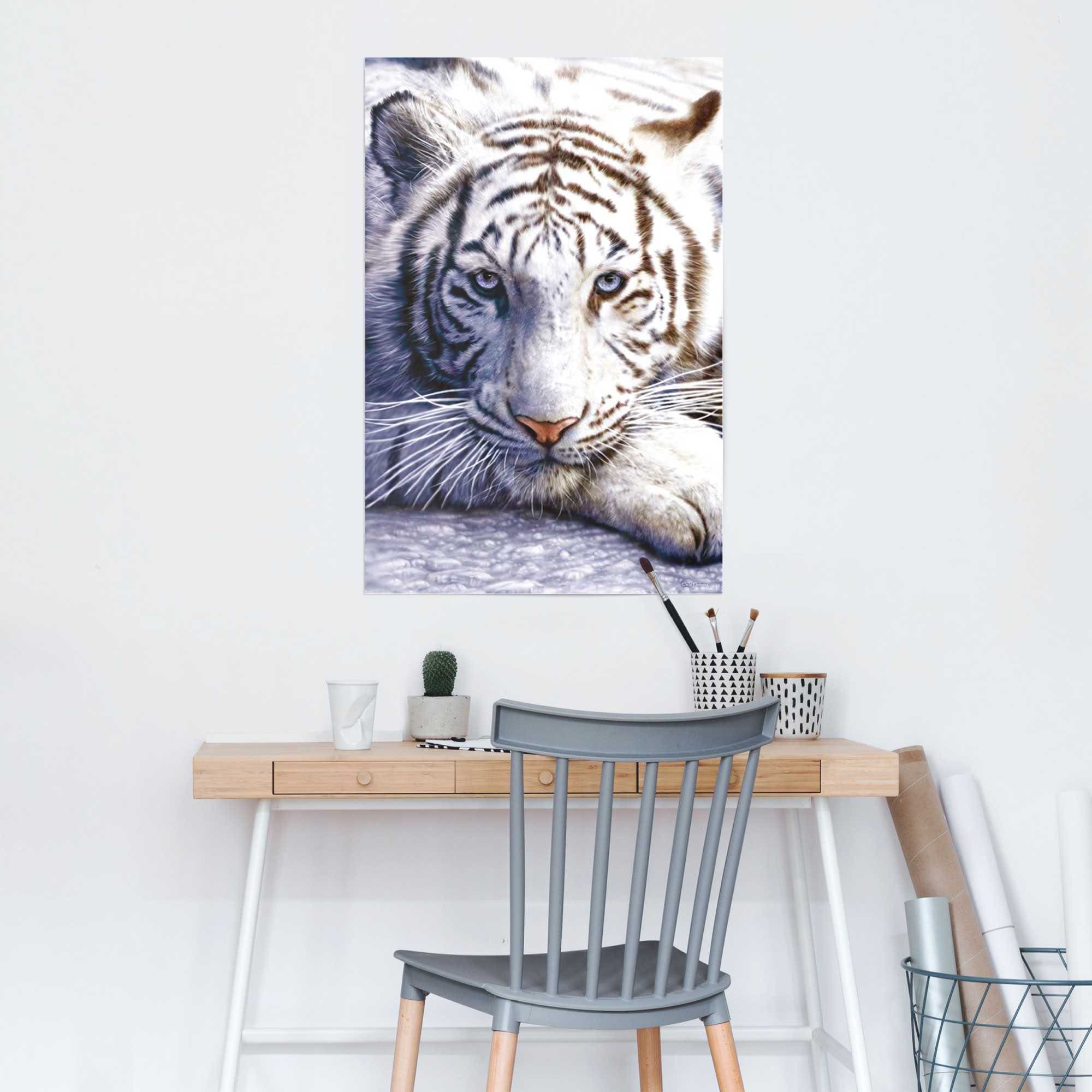 bestellen »Weißer Tiger«, Poster Reinders! (1 St.) bequem
