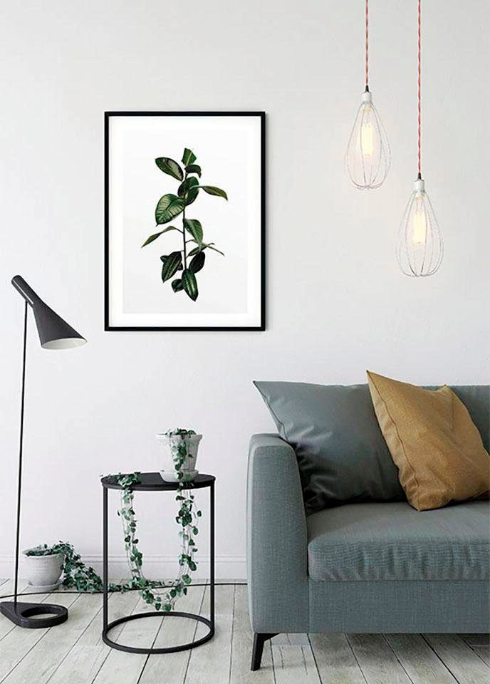 Komar Bild »Ficus Branch« Pflanzen 1 Stk. tlg. Wandbild zur Dekoration - ohne Rahmen