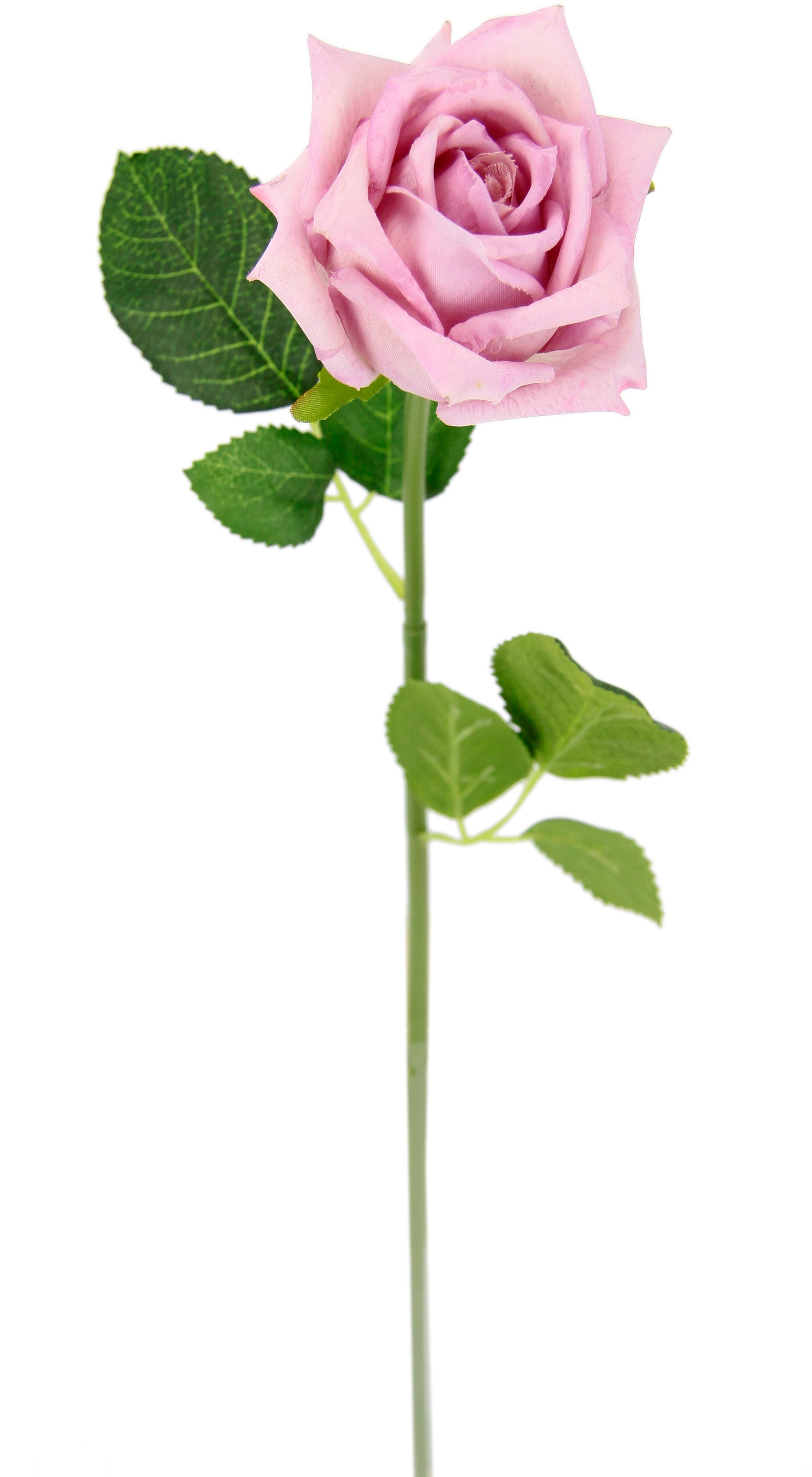 I.GE.A. Kunstblume »Rose«, 5er Set künstliche Rosen, Seidenrosen, Bouquet, Kunstzweig, Kunstrose