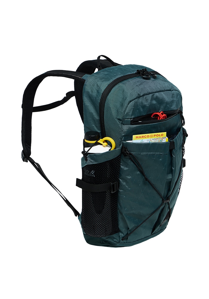 Jack Wolfskin Daypack »WANDERMOOD PACK 20«