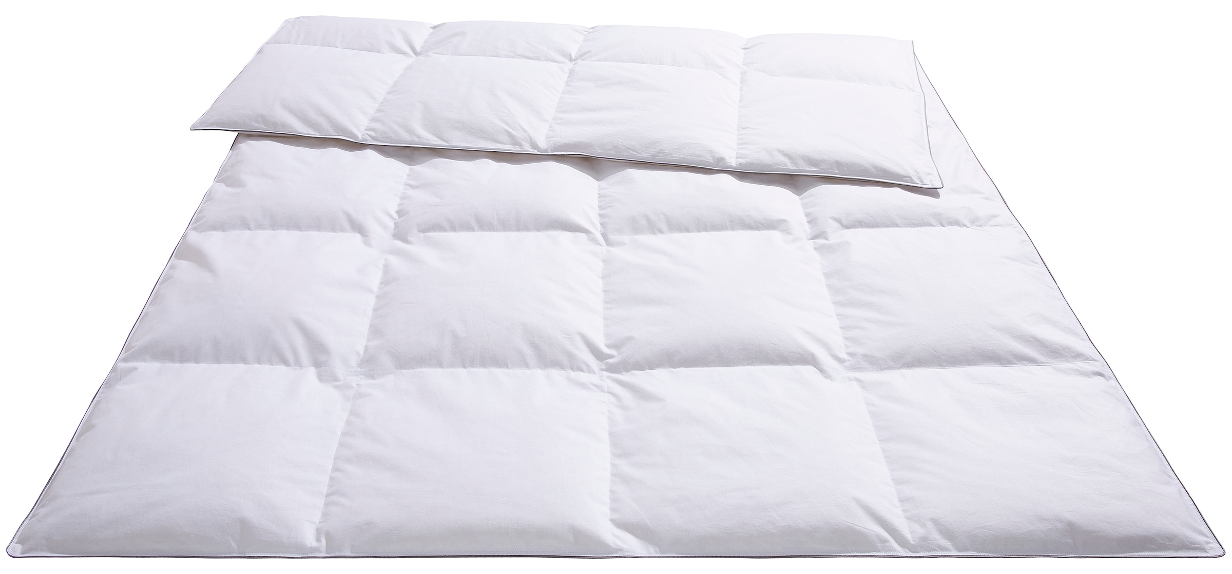 warm, »Bettdecke 40% (1 leicht, zum von Daunenbettdecke Älgdröm Bezug Daunen Federn, online \