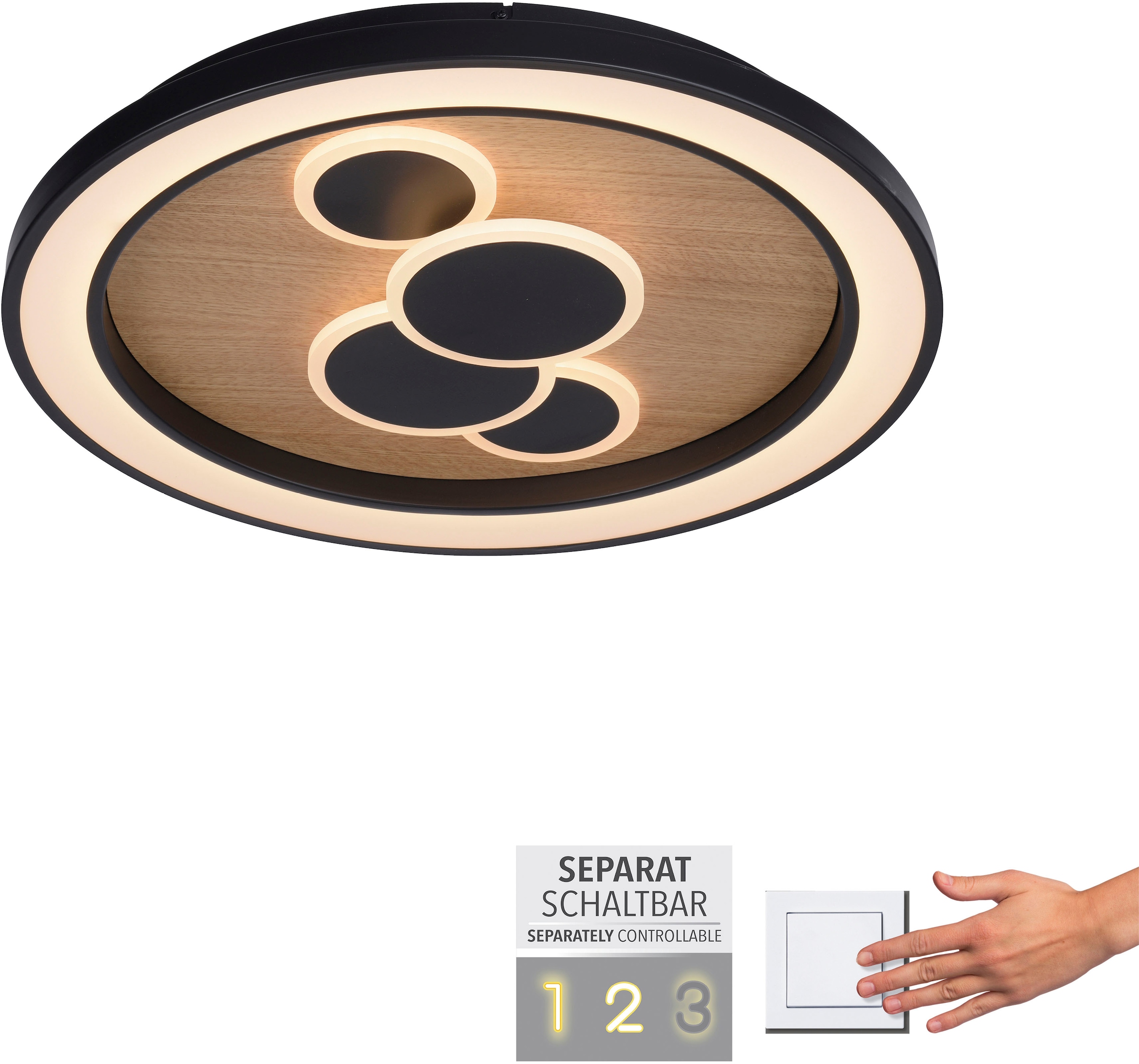 Paul Neuhaus Deckenleuchte »ELIZA«, 2 flammig, Leuchtmittel LED-Board-LED-Board | LED fest integriert-LED fest integriert, LED, separat steuerbar (Schalter)