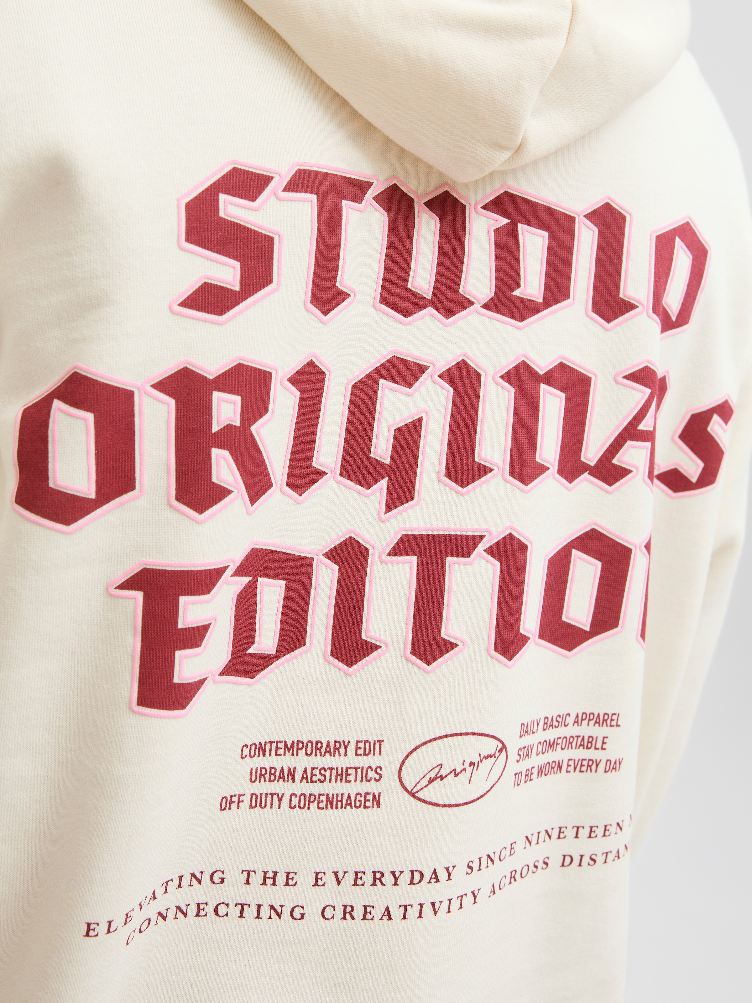 Jack & Jones PlusSize Kapuzensweatshirt »JORMEADOWS SWEAT HOOD PLS«
