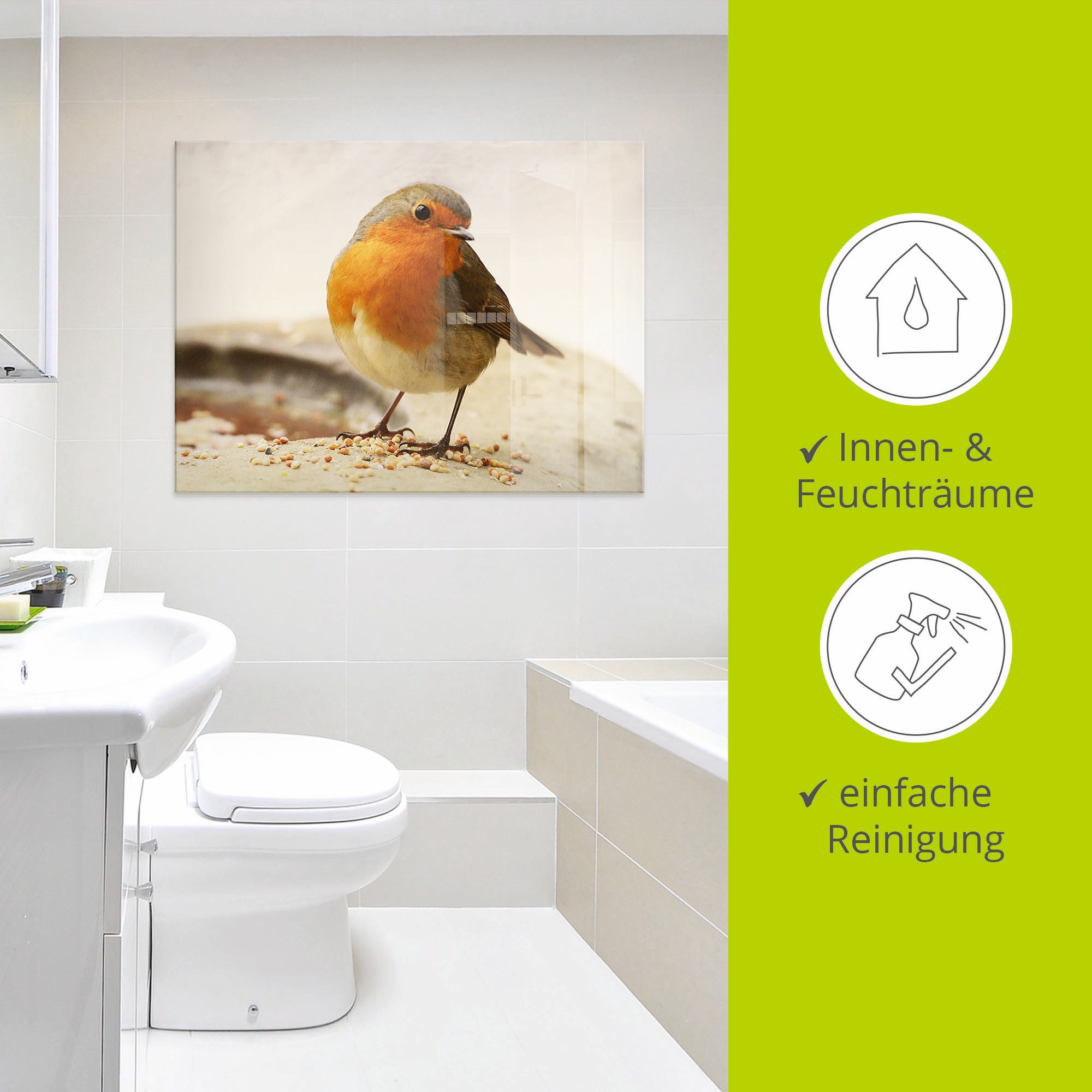 Artland Glasbild »Rotkehlchen«, Vögel, (1 St.), in verschiedenen Größen