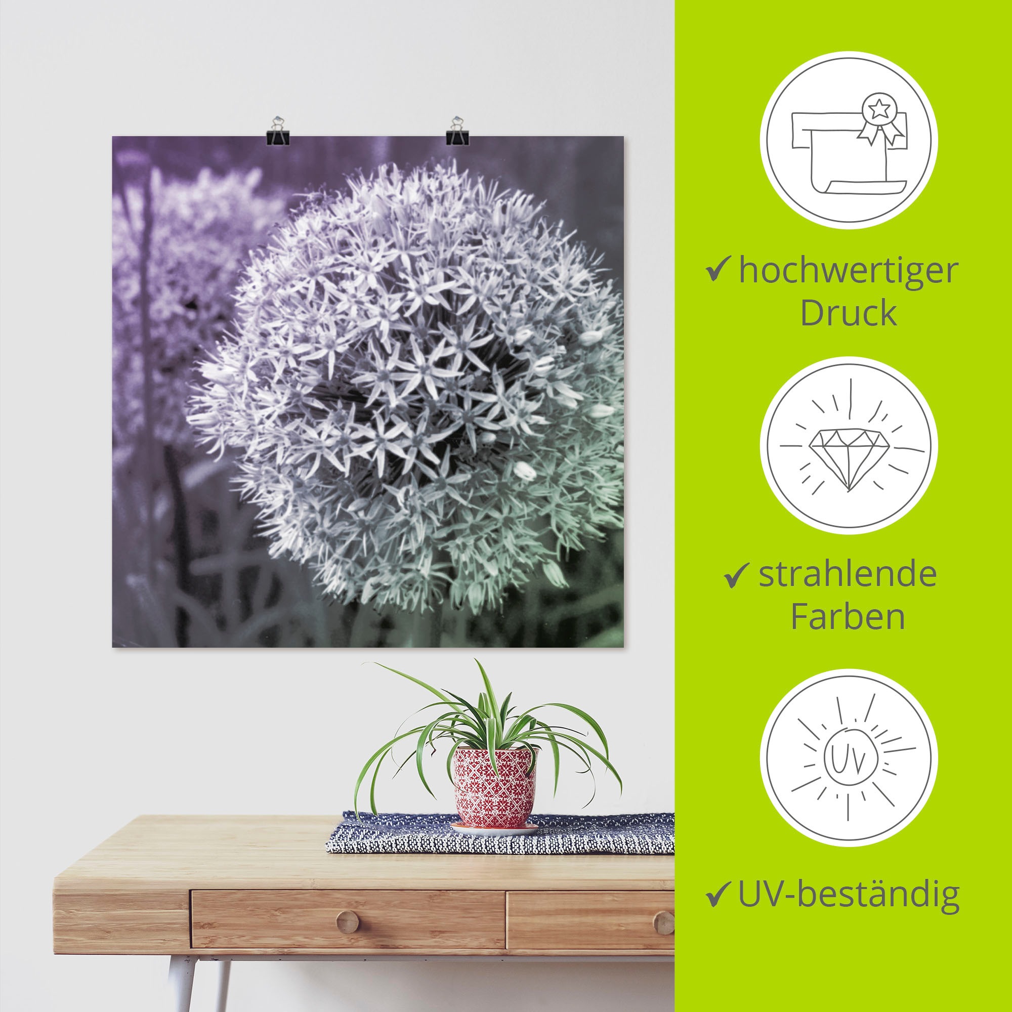 Artland Wandbild »Lila Sensation I« 1 Stk. tlg. als Alubild, Outdoorbild, Leinwandbild, Poster, Wandaufkleber