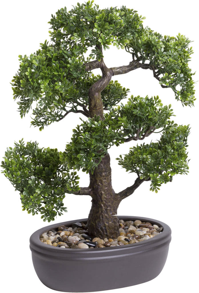 Kunstbonsai »Ficus Bonsai«