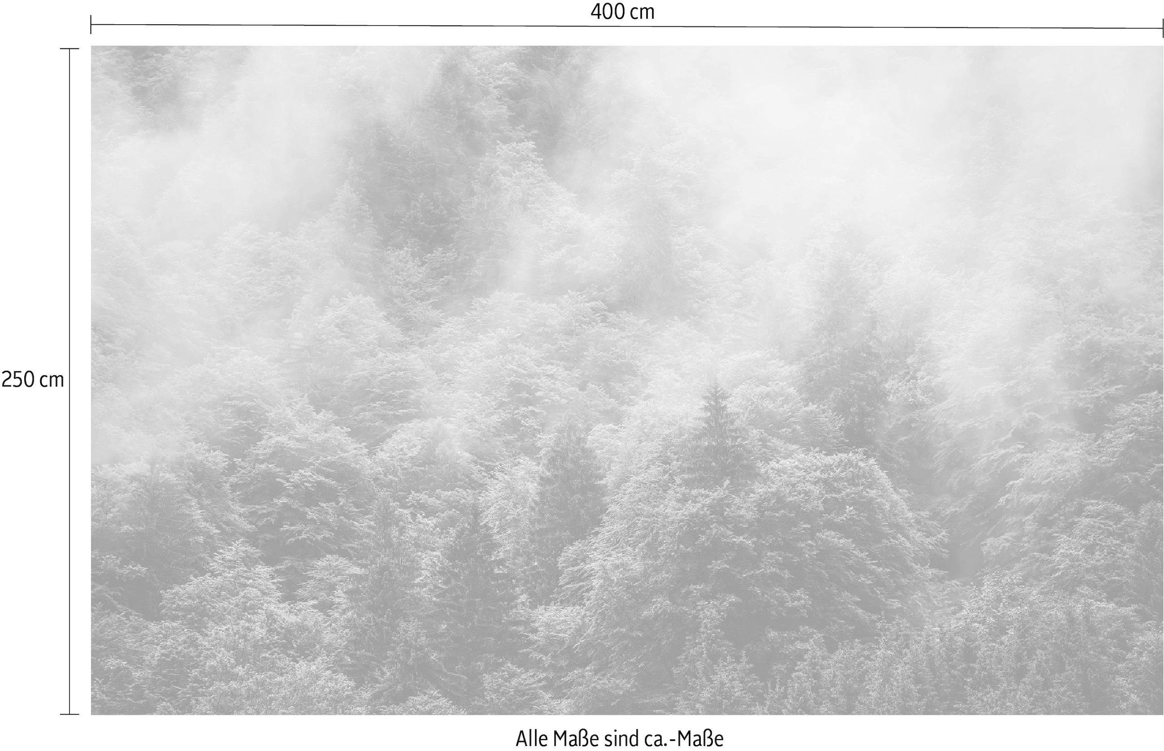 Komar Vliestapete »Digitaldruck Vlies -  Forest Land - Größe 400 x 250 cm« bedruckt glatt Wohnzimmer, Schlafzimmer