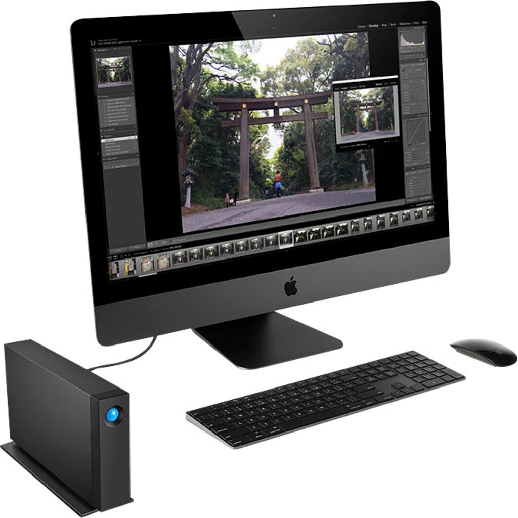 LaCie externe HDD-Festplatte »d2 Professional«, Anschluss USB-C-USB-C