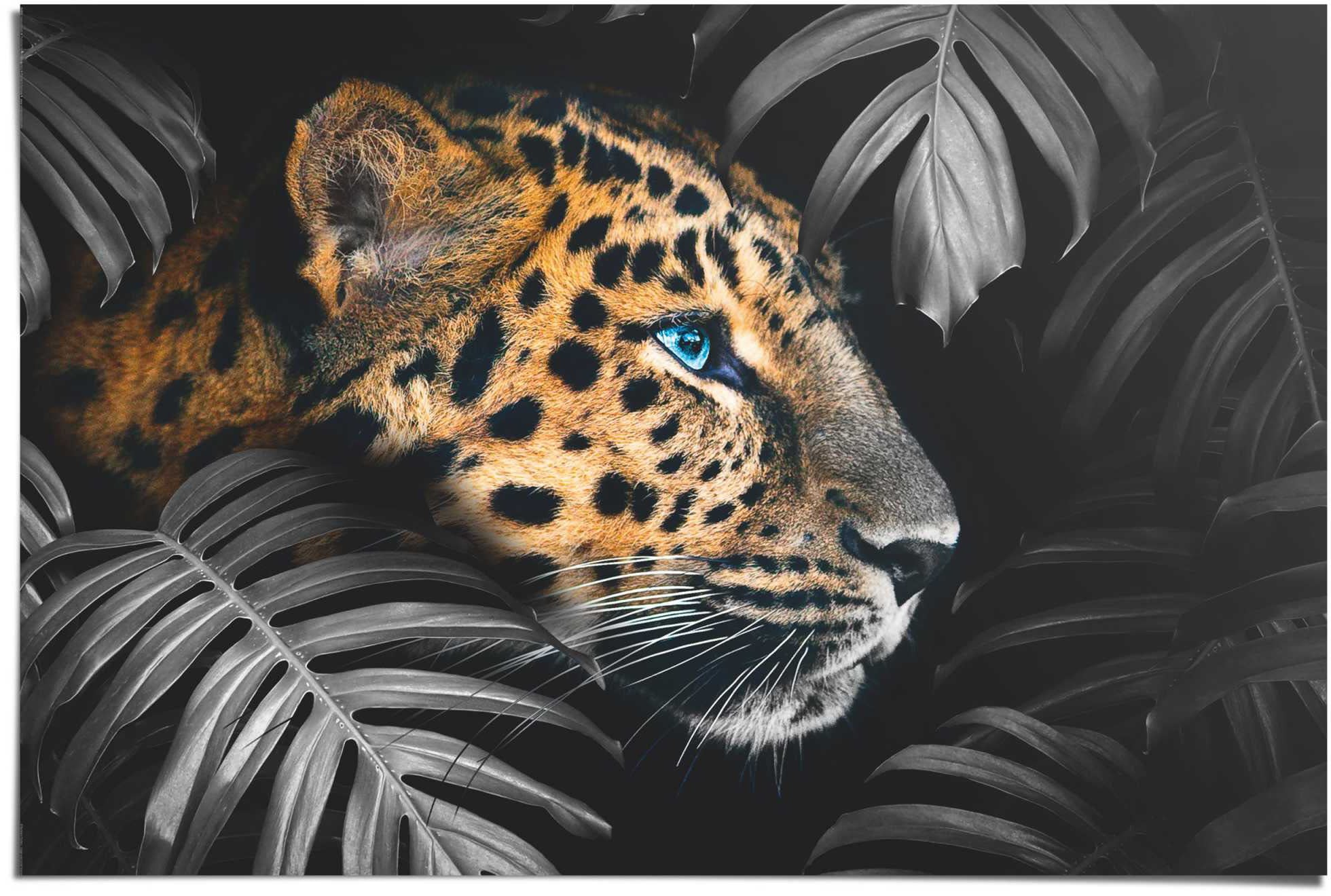Reinders! Poster »Leopard Jungle - - - bequem kaufen Eyecatcher (1 Modern«, Tiermotiv St.)