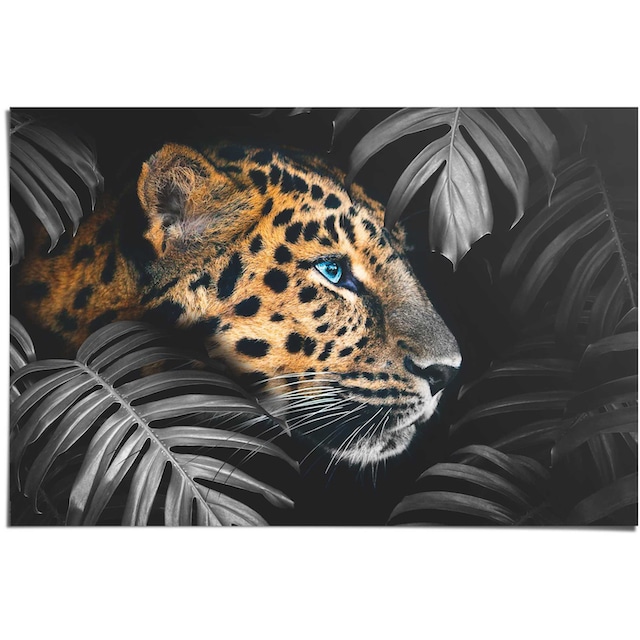 Reinders! Poster »Leopard Jungle - Eyecatcher - Tiermotiv - Modern«, (1 St.)  bequem kaufen