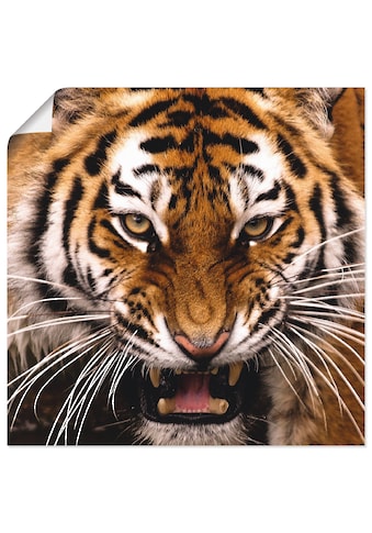 Artland Wandbild »Tiger Kopf«, Wildtiere, (1 St.), in vielen Größen & Produktarten -... kaufen