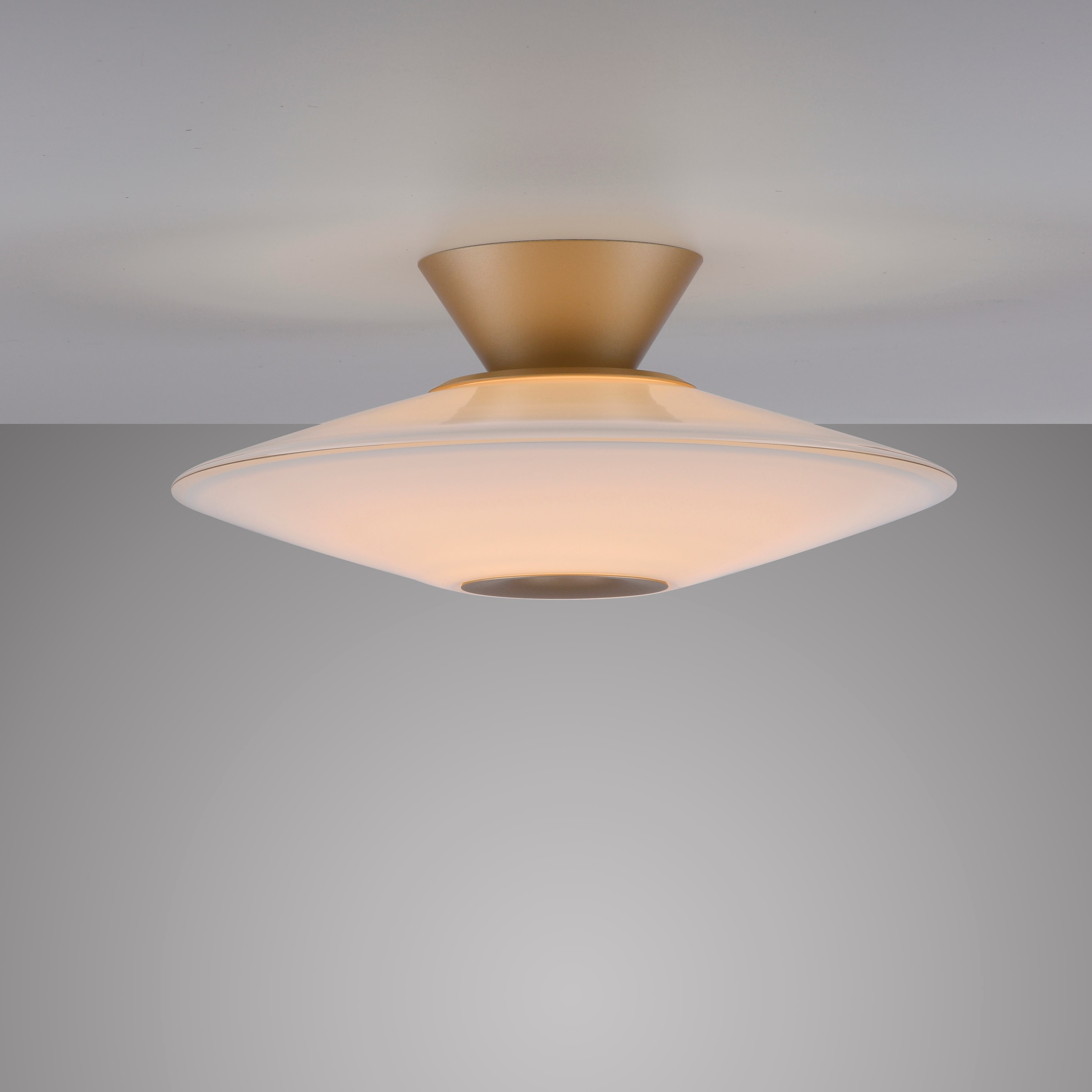 Paul Neuhaus LED Deckenleuchte »ELIPSA« LED-Board 1 Stk. Warmweiß Dimmfähig über separaten Tronicdimmer, Opalglas