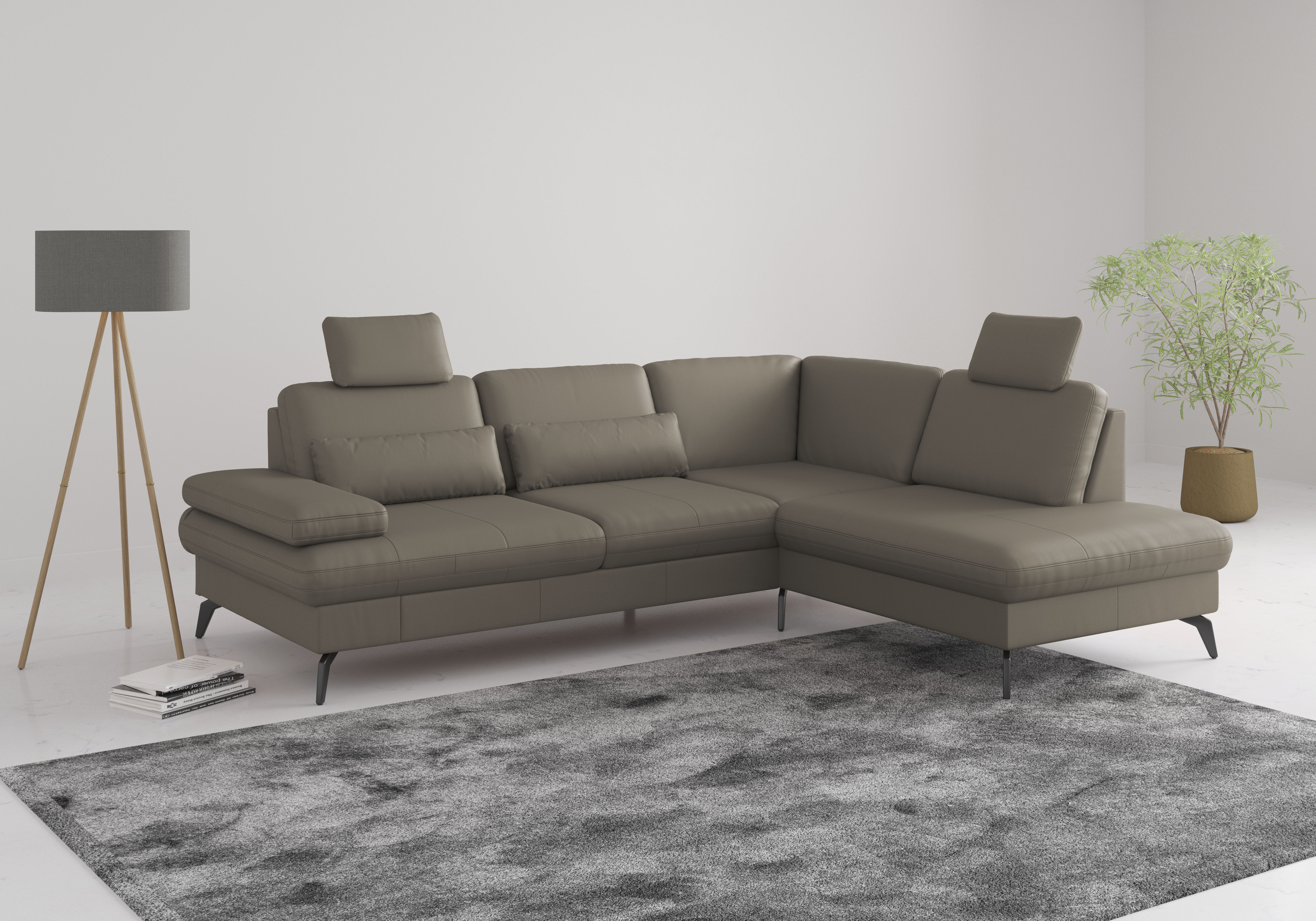 sit&more Ecksofa "Morris L-Form, inkl. Sitztiefenverstellung" wahlweise mit Armteilverstellung, Schlaffunktion & Bettkasten