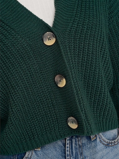 ONLY Strickjacke »ONLCAROL NICE L/S CARDIGAN KNT NOOS«