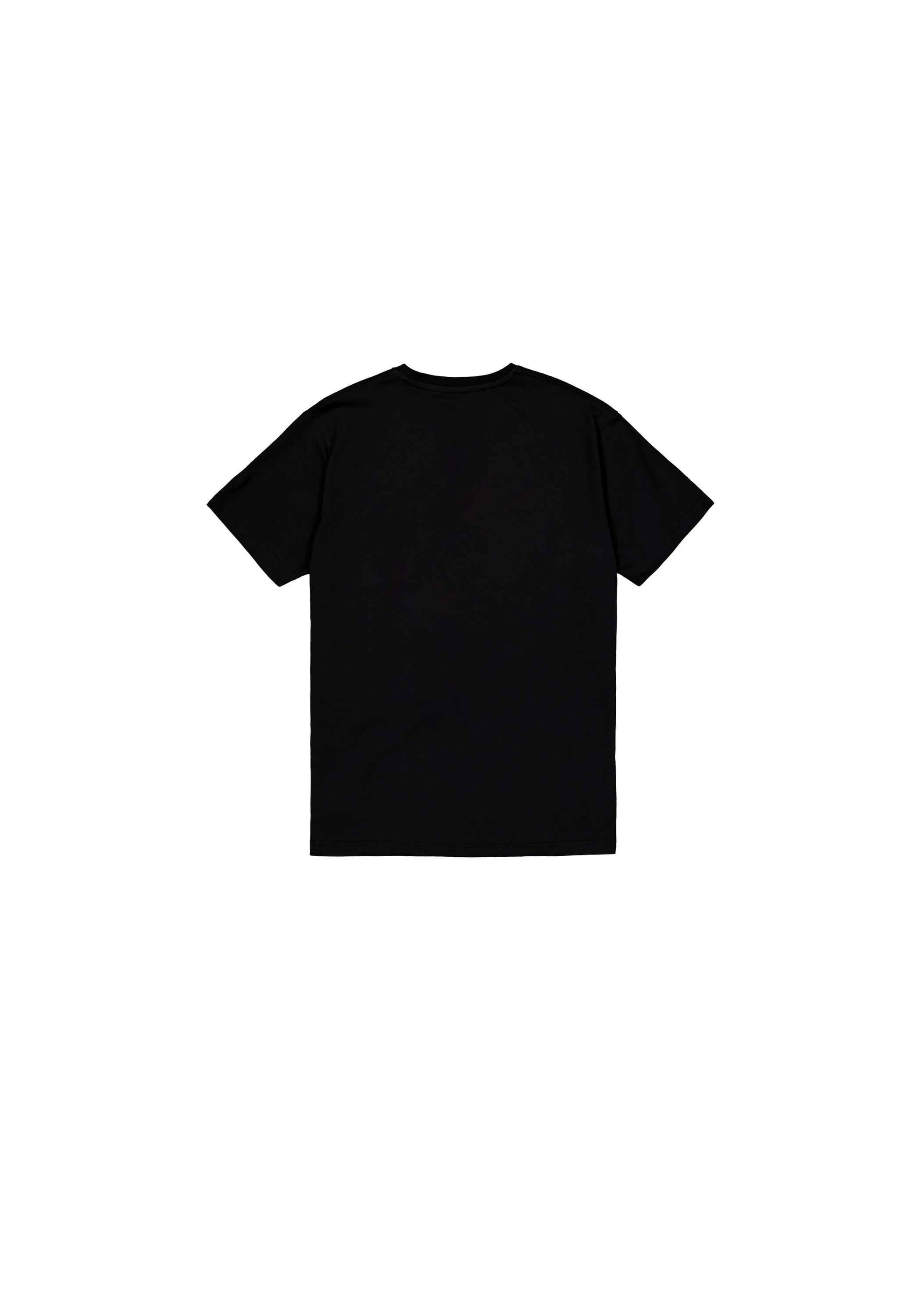Alpha Industries T-Shirt »Satin Logo T-Shirt«