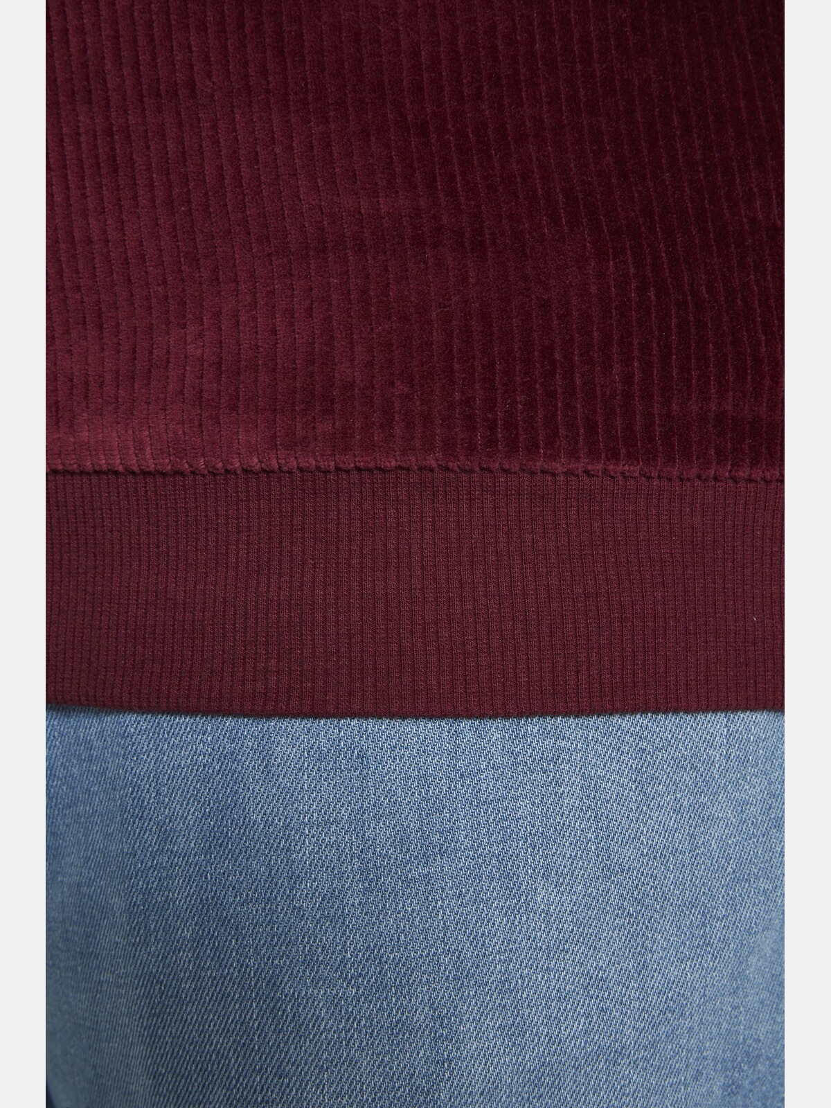 Charles Colby Sweatshirt »Sweatshirt EARL GILLBIG«