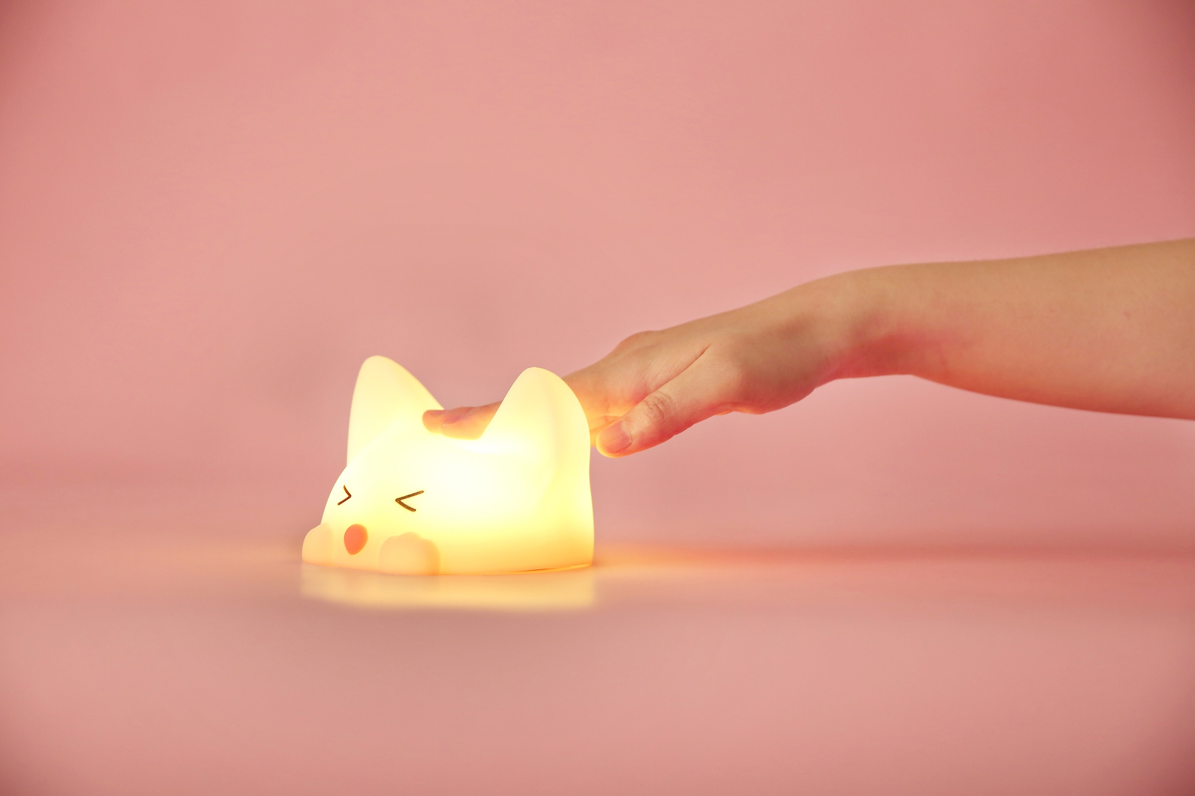 niermann LED Nachtlicht »Catty Cat«, mit flammig-flammig, Catty online | kaufen 3 Jahren XXL Cat Nachtlicht Garantie 1