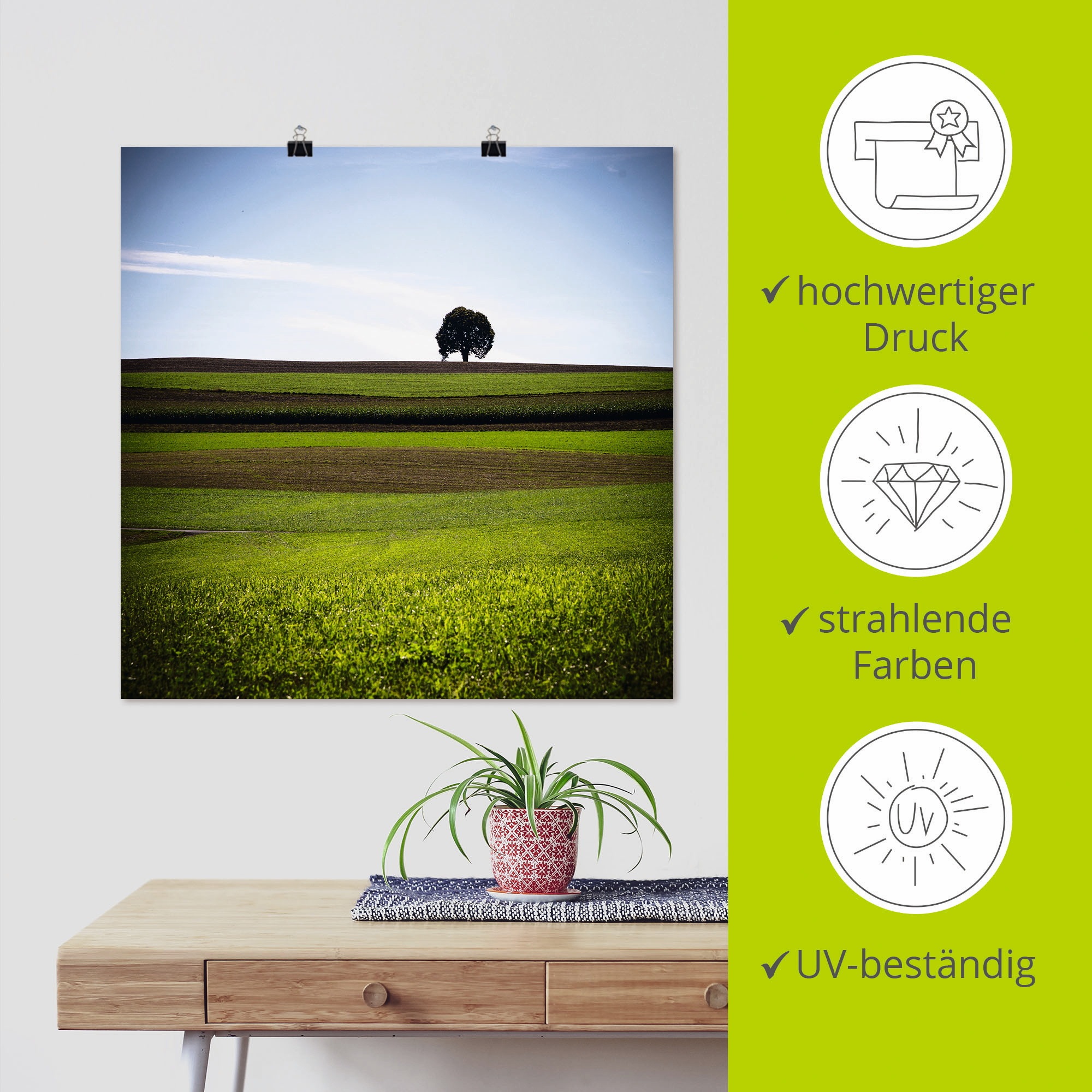 Artland Poster »Der Baum«, Wiesen & Baumbilder, (1 St.), als Alubild, Leinwandbild, Wandaufkleber oder Poster in versch. Größen