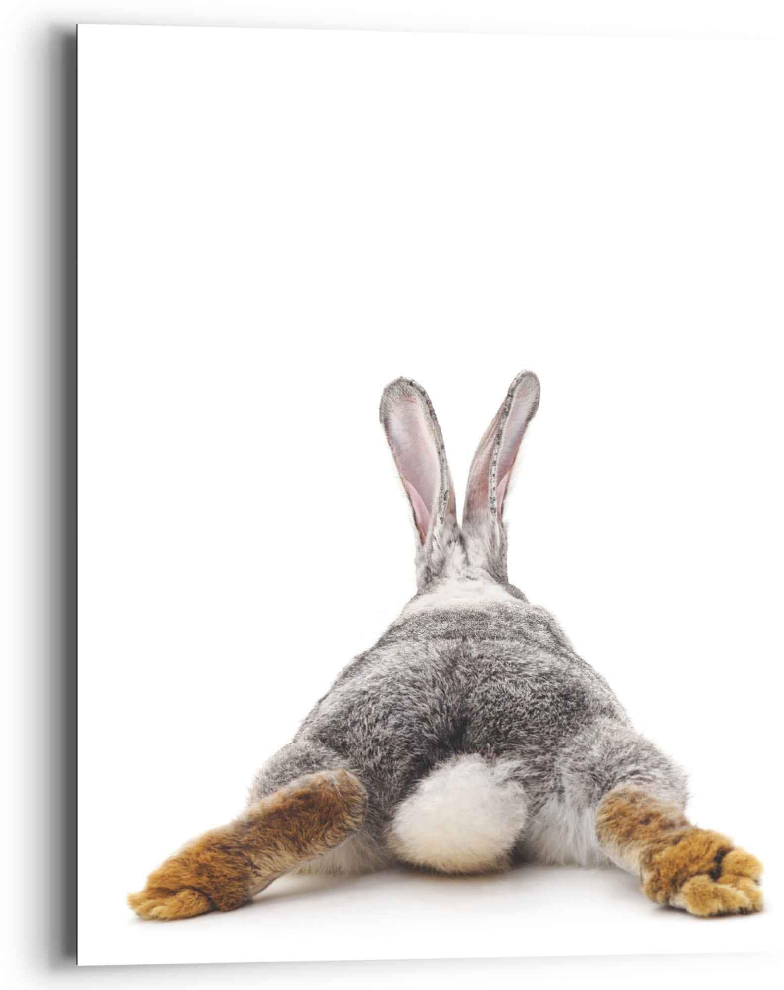 Reinders! Wandbild »Wandbild Kaninchen Rabbit Hase (1 - bestellen - Hasen, - Relax«, Raten Schwanz auf St.)