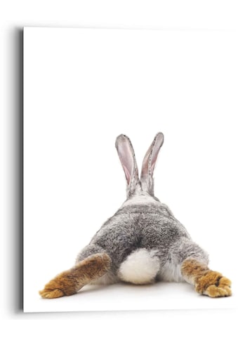 Reinders! Wandbild »Wandbild Kaninchen Rabbit - Hase - Schwanz - Relax«, Hasen, (1 St.) kaufen