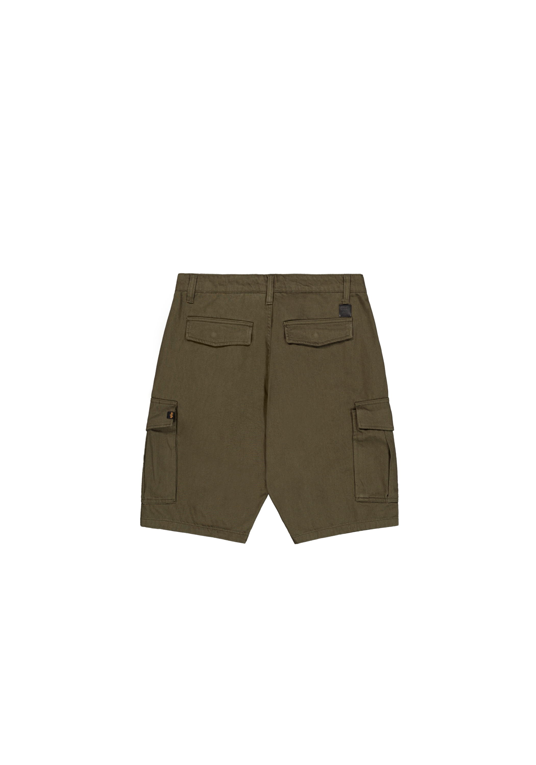 Alpha Industries Shorts »Aircraft Short«