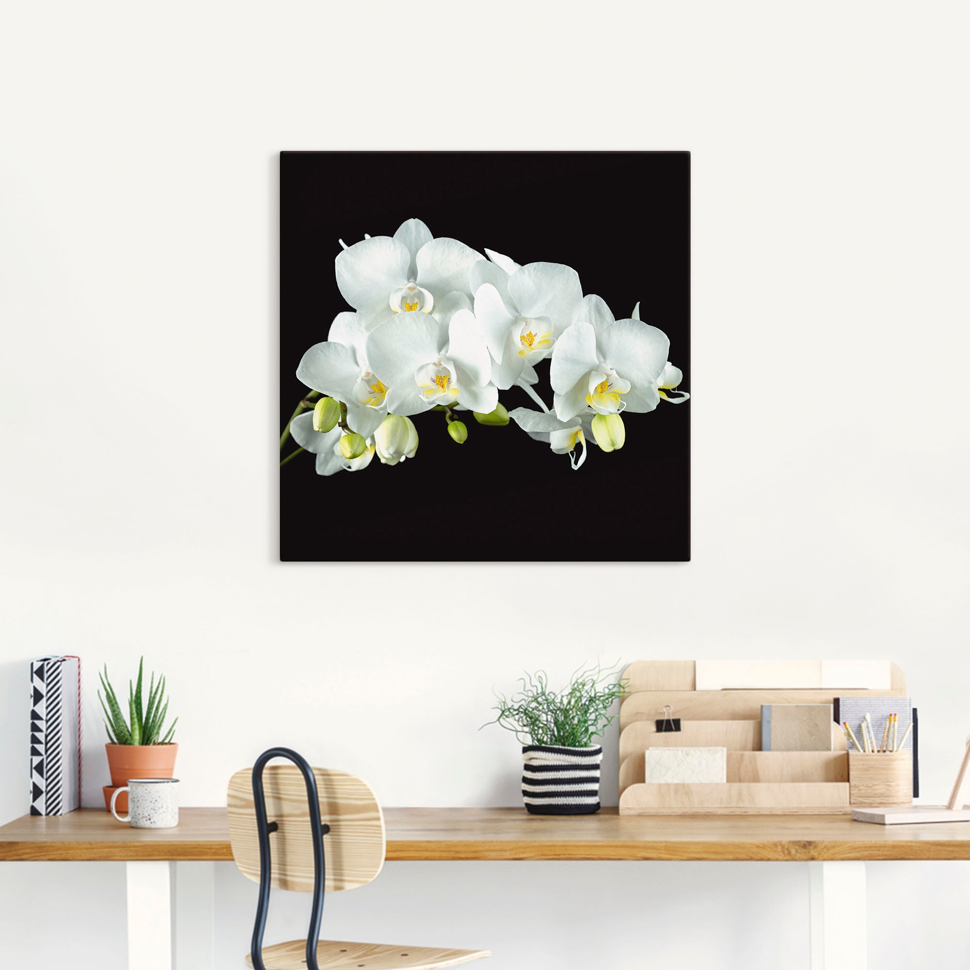 Artland Wandbild »Weiße Orchidee auf schwarzem Hintergrund«, Blumen, (1 St.), als Leinwandbild, Poster, Wandaufkleber in verschied. Größen