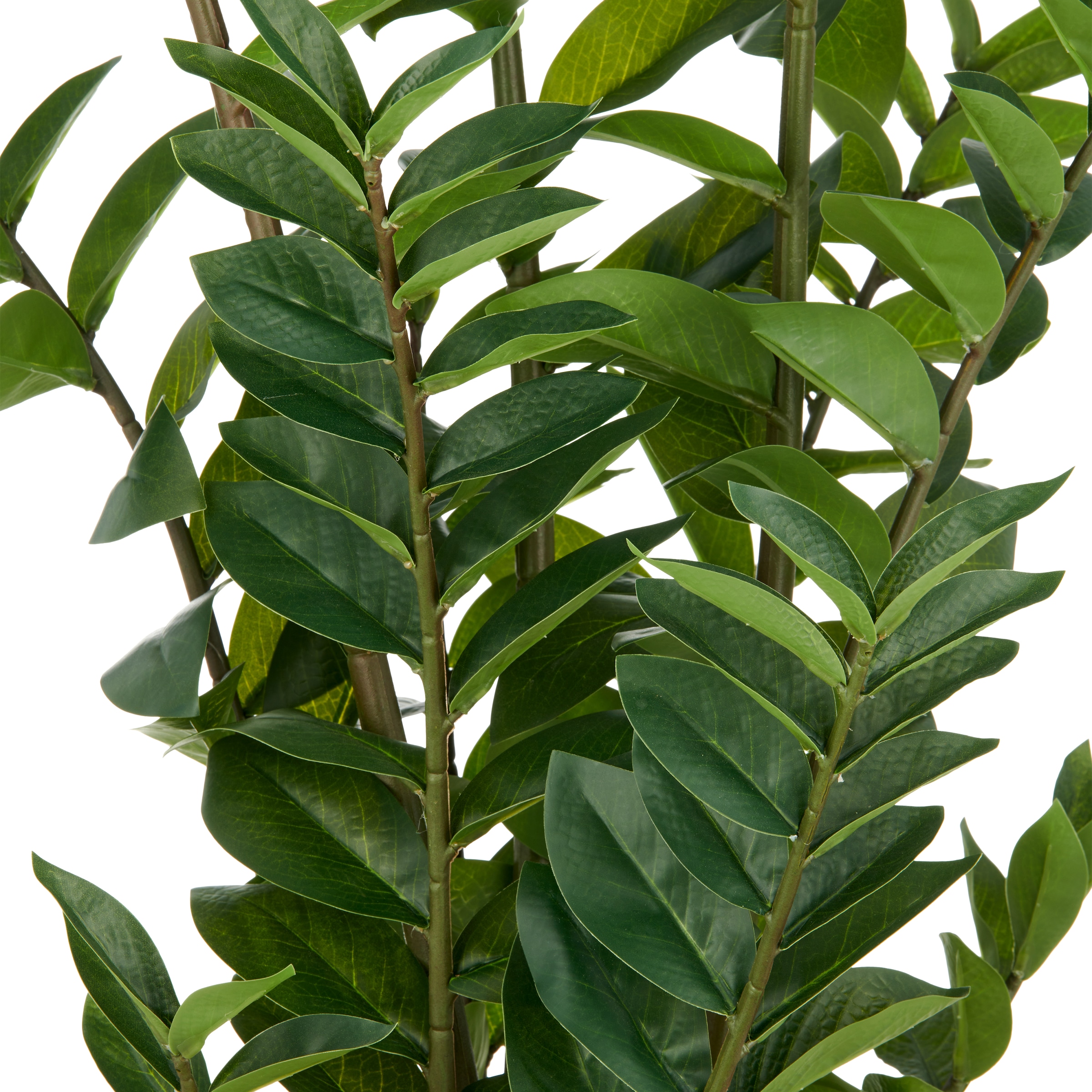 Creativ green Kunstpflanze »Zamifolia« mit detailgetreuer Gestaltung