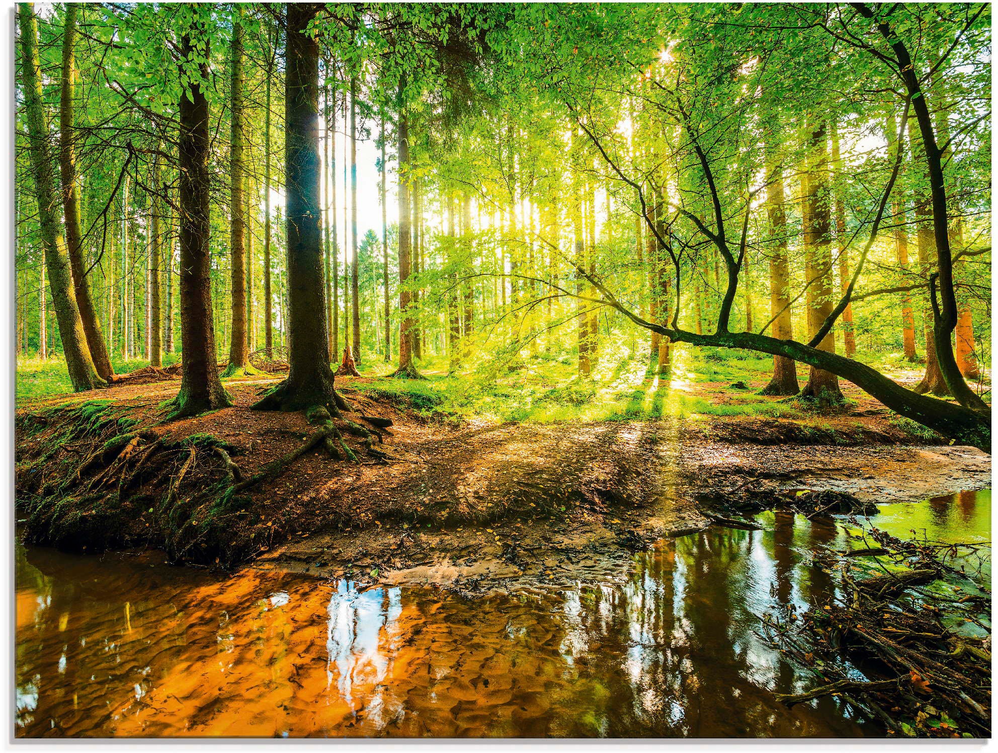 Artland Glasbild »Wald mit Bach«, Wald, (1 St.), in verschiedenen Größen