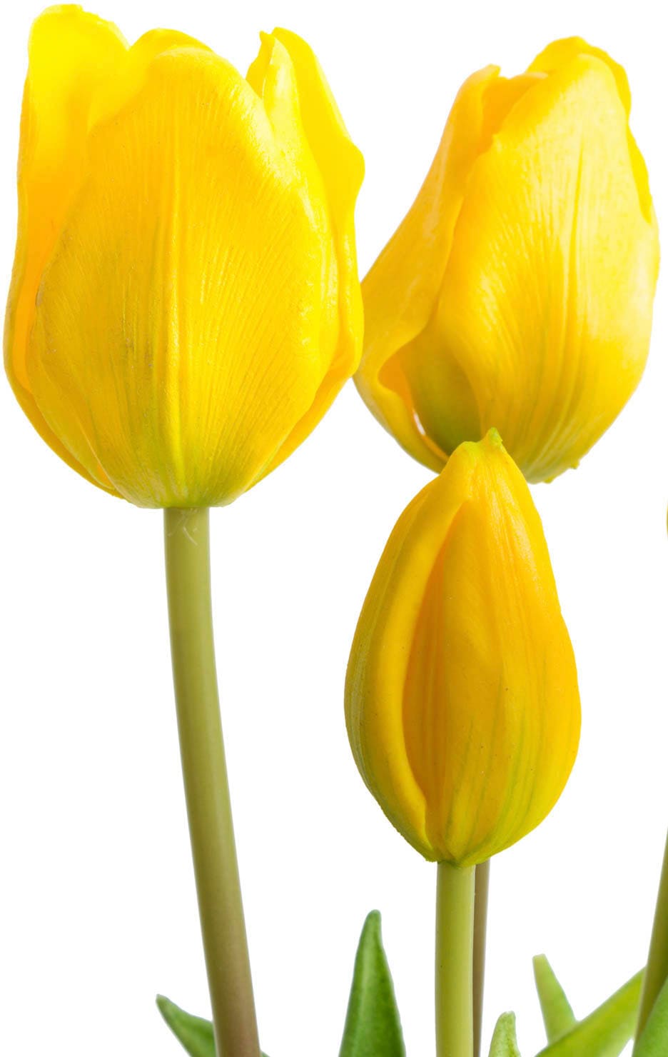 Botanic-Haus Kunstblume »Tulpenbündel« auf Raten kaufen