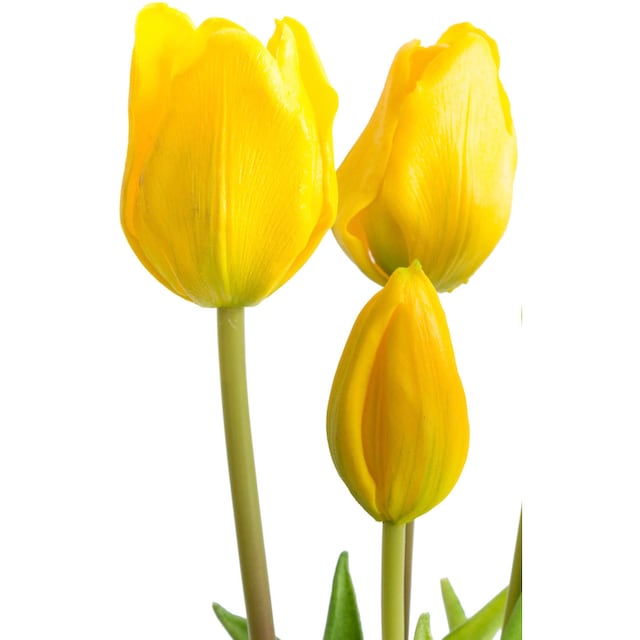 Botanic-Haus Kunstblume »Tulpenbündel« auf Raten kaufen