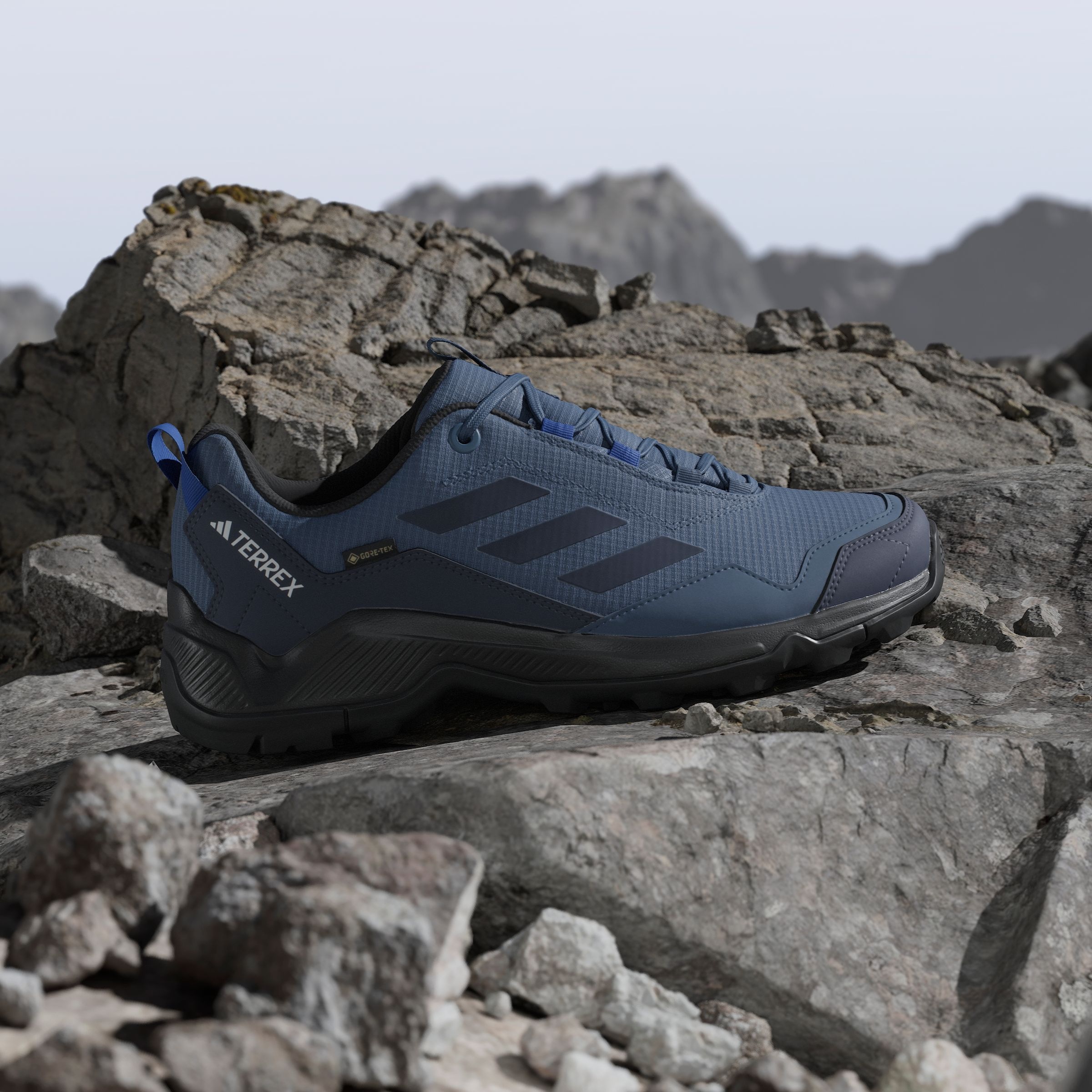 adidas TERREX Wanderschuh »TERREX EASTRAIL GORE-TEX«