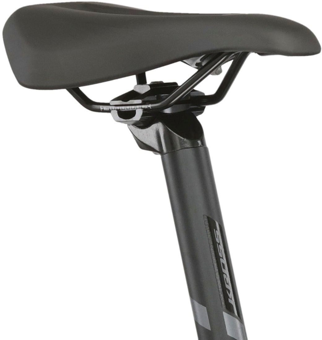 Kross E-Bike »KROSS E-MTB Level Boost 1.0 29" grau«, 10 Gang, Shimano, DEORE M5120, Mittelmotor 250 W, Pedelec, Elektrofahrrad für Damen und Herren