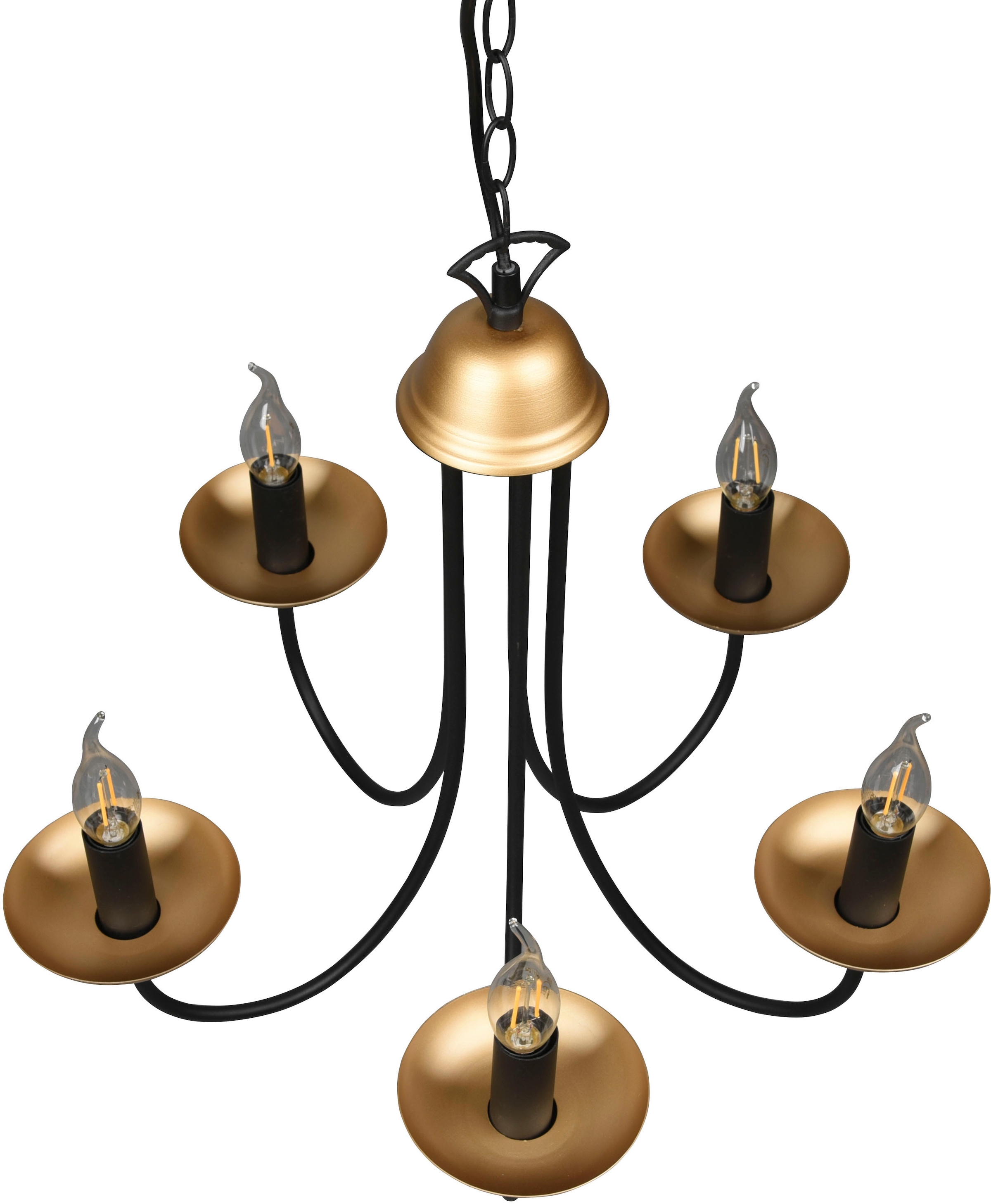 TRIO Leuchten online 150cm kaufen Jahren 5-flammig »Livia«, in schwarz-gold, exkl Garantie 28W), XXL Kronleuchter Höhe 3 5xE14 Lüster mit max (max | flammig-flammig, 5