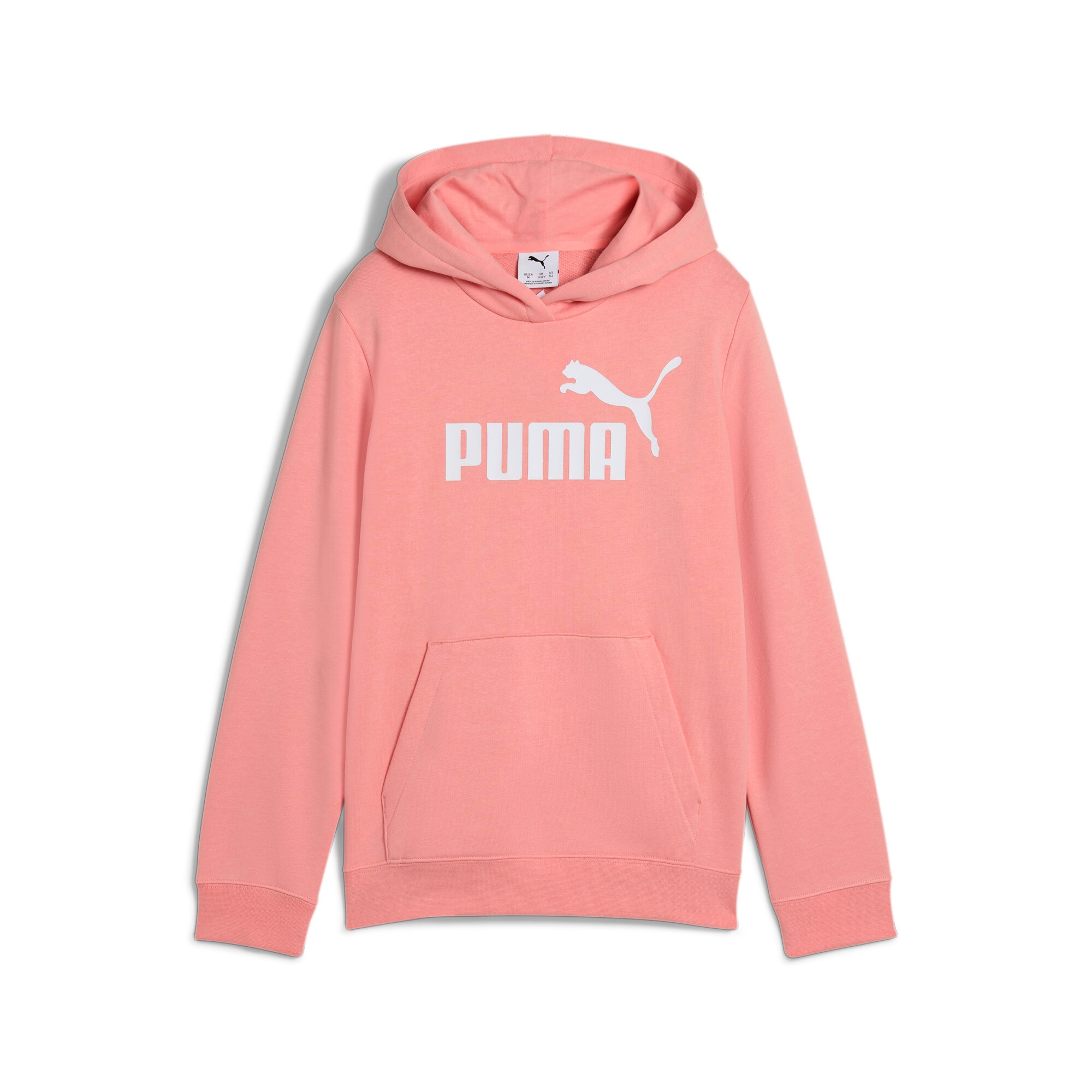 PUMA Kapuzensweatshirt »ESS NO. 1 LOGO HOODIE TR G«