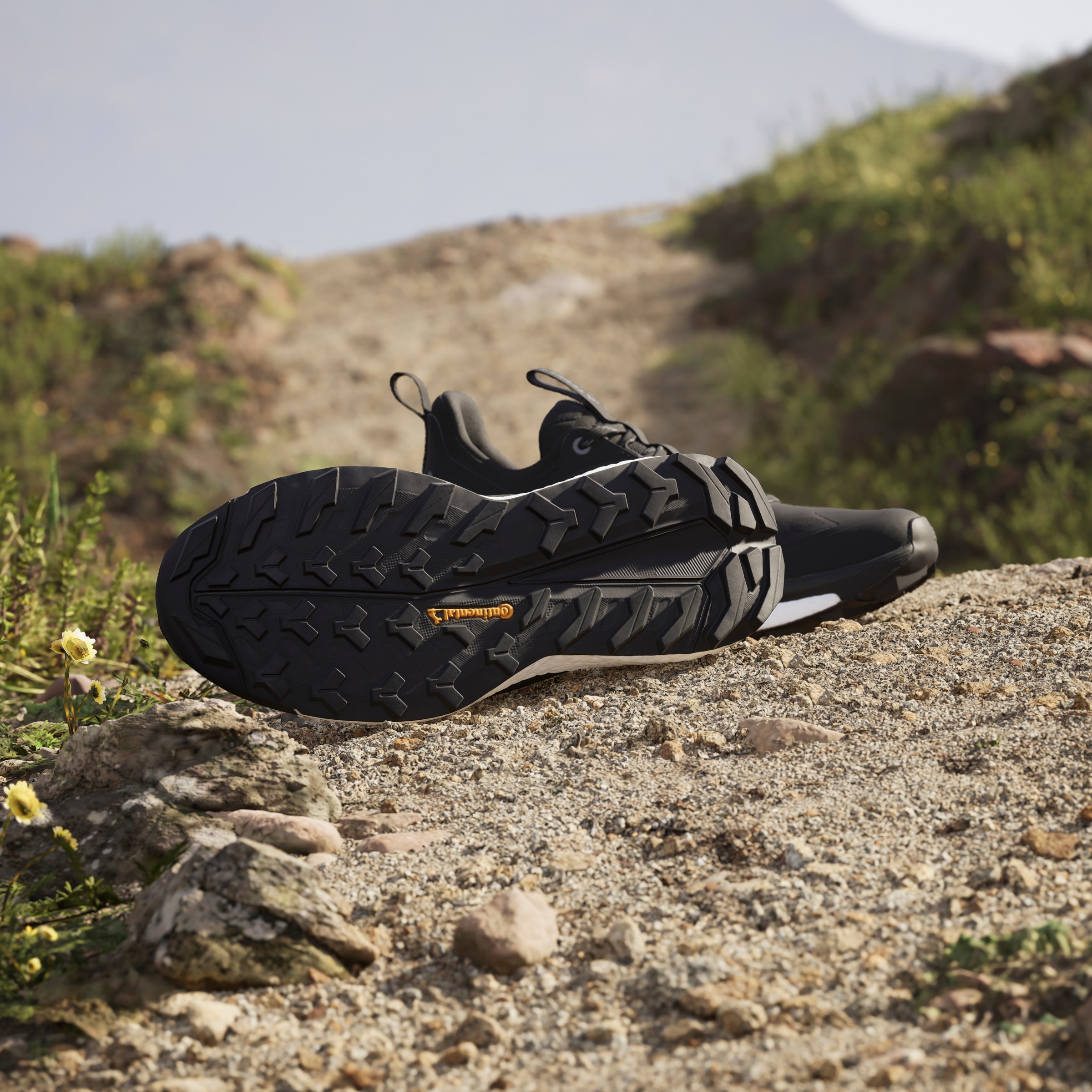 adidas TERREX Wanderschuh »TERREX FREE HIKER 2.0 LOW«