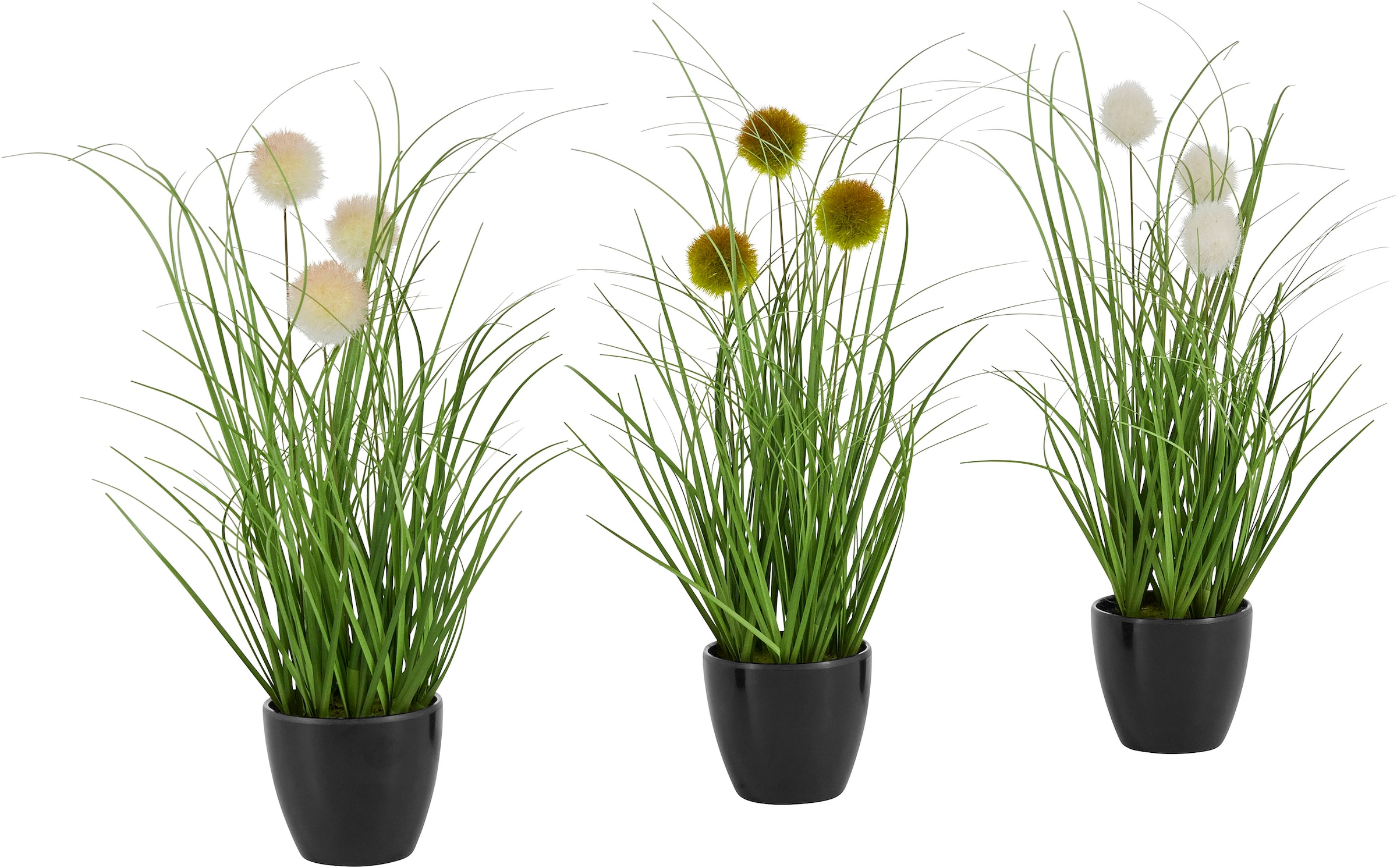 Leonique Kunstgras »Grasbusch mit Kletten«, Kunstpflanze, Gras, im Topf, 3er-Set, Bestseller