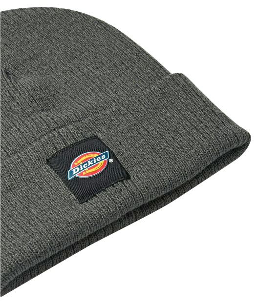 Dickies Beanie »Evadale«