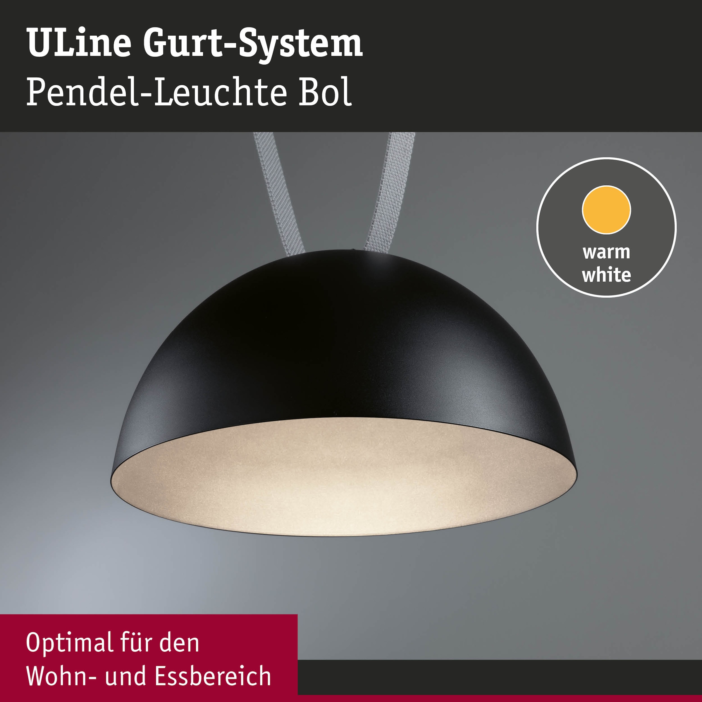 Paulmann Hängeleuchte »ULine Pendelleuchte Bol  300mm 12W Schwarz« 1 Stk. Warmweiß