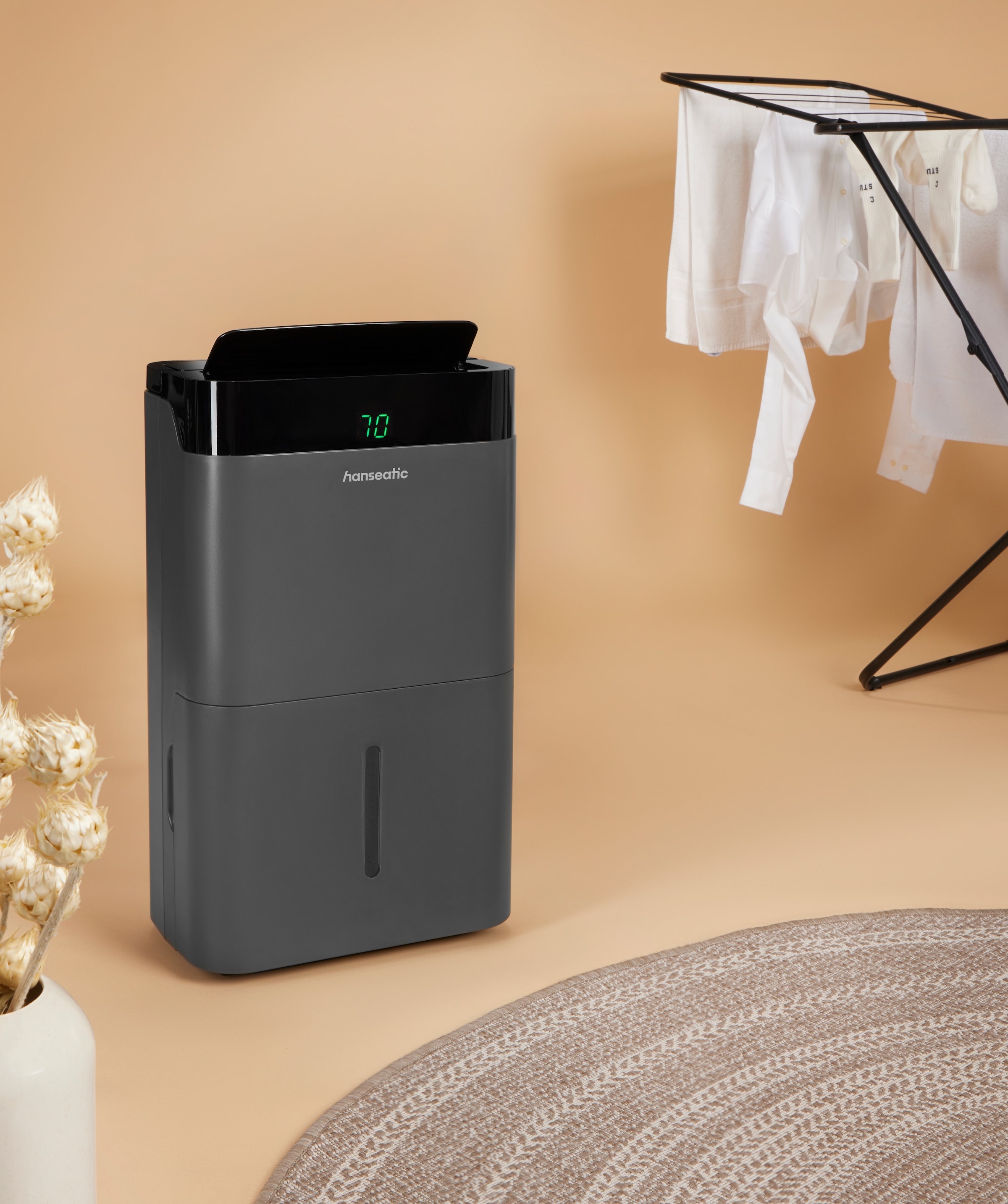 Hanseatic Luftentfeuchter »Hanseatic 20L, 2in1 Entfeuchtung & Luftreinigung« Entfeuchtung 20 l/Tag Tank 5 für Räume bis 40m², 5L Wassertank