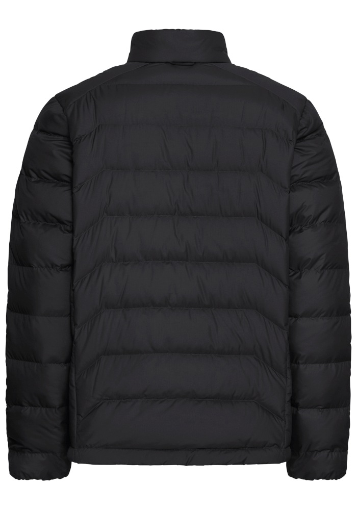 Jack Wolfskin Daunenjacke »WILD PASS DOWN JKT M RDS« Daunenjacke, warm, wind- und wasserabweisend