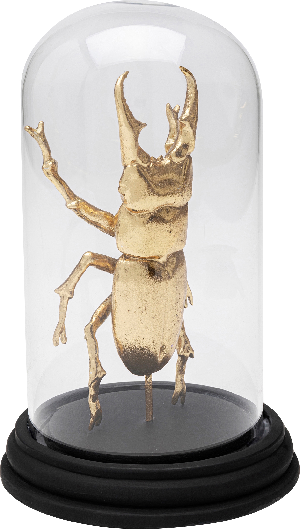Kare Design Dekoobjekt »Hercules Beetle 20cm«