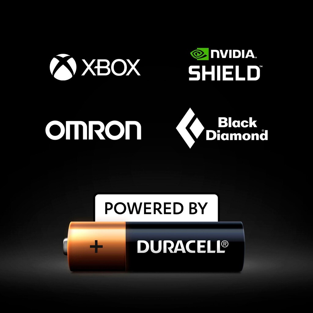 Duracell Batterie »20+10 Pack: 20x Mignon/AA/LR06 + 10x Micro/AAA/LR03«, LR06, (Spar-Set, 30 St., Alkaline Batterie, 30 Stück)