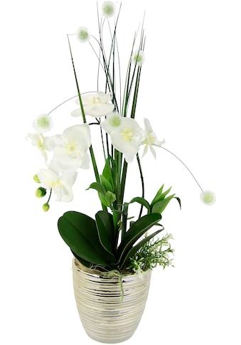 I.GE.A. Kunstblume »Arrangement Orchidee/Gras«, (1 St.), Topf aus Keramik kaufen