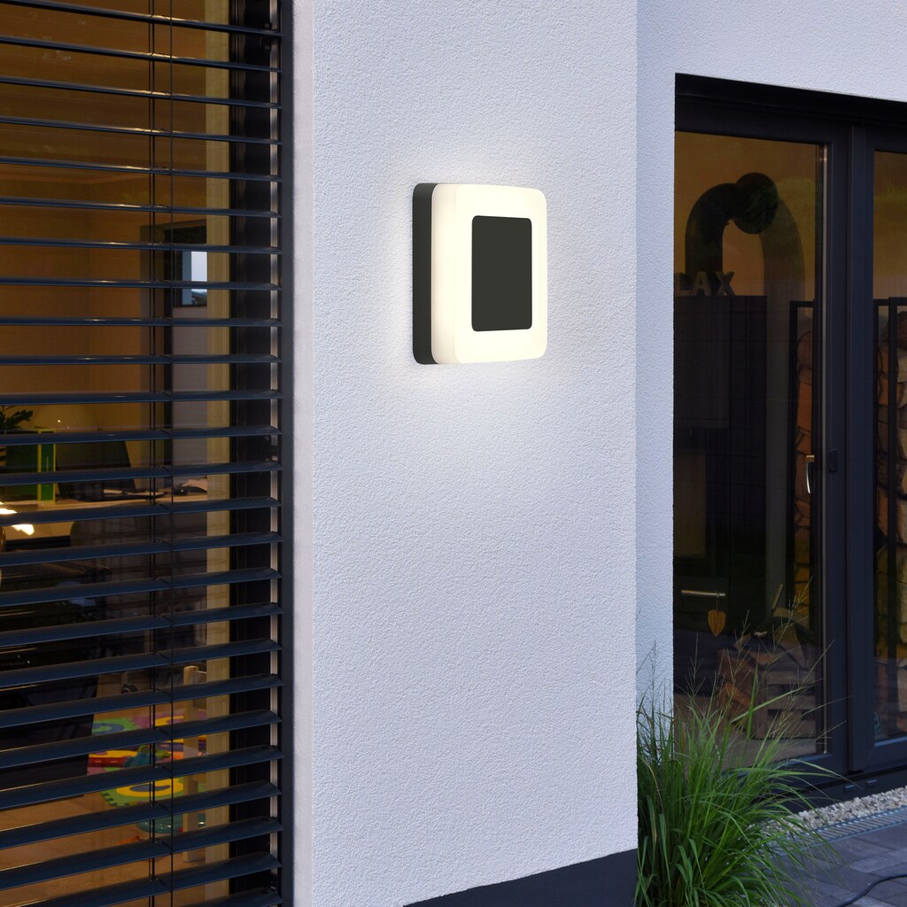 Paul Neuhaus LED Außen-Deckenleuchte »FABIAN«, 1 flammig-flammig